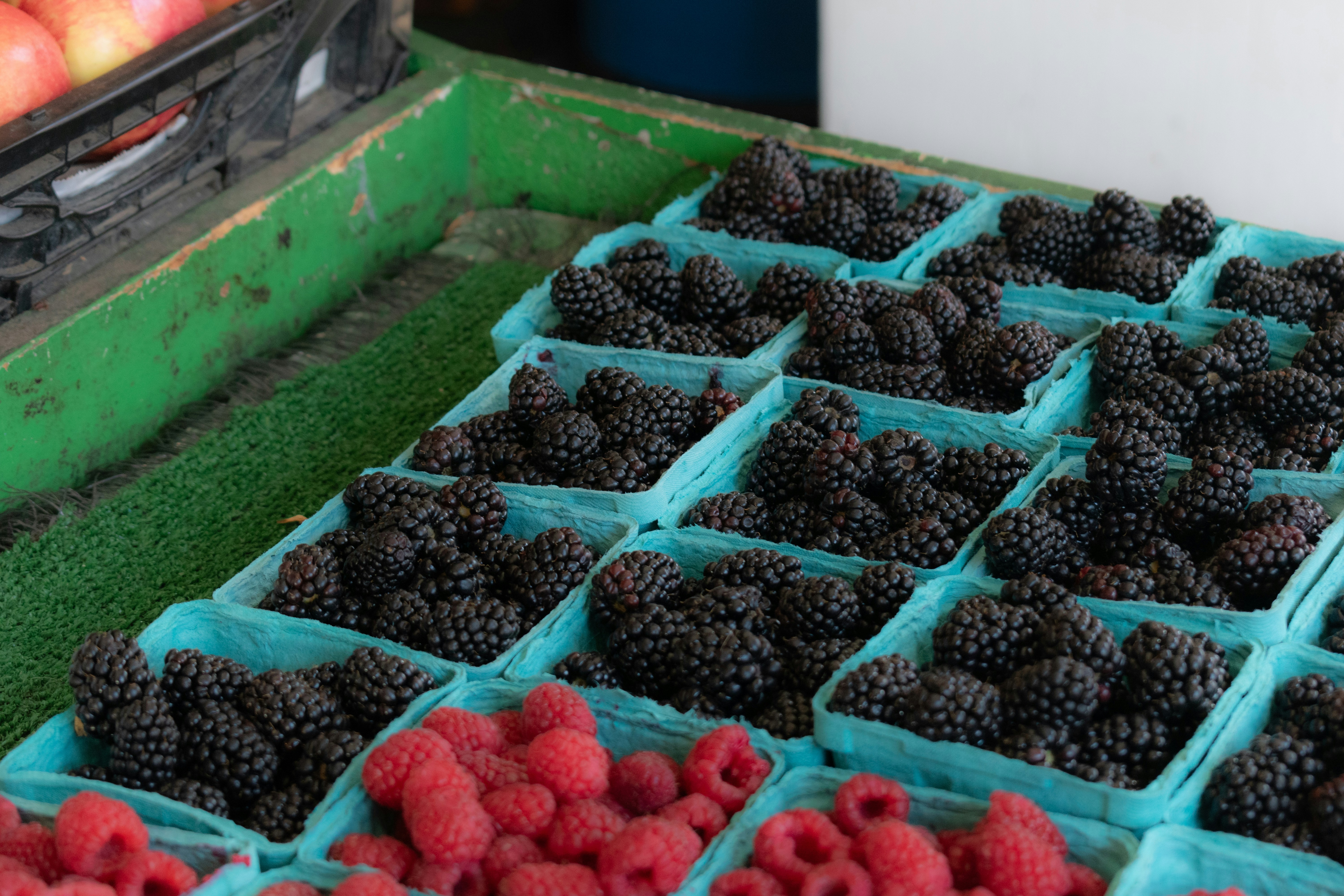 Photo by sankalpmudaliar