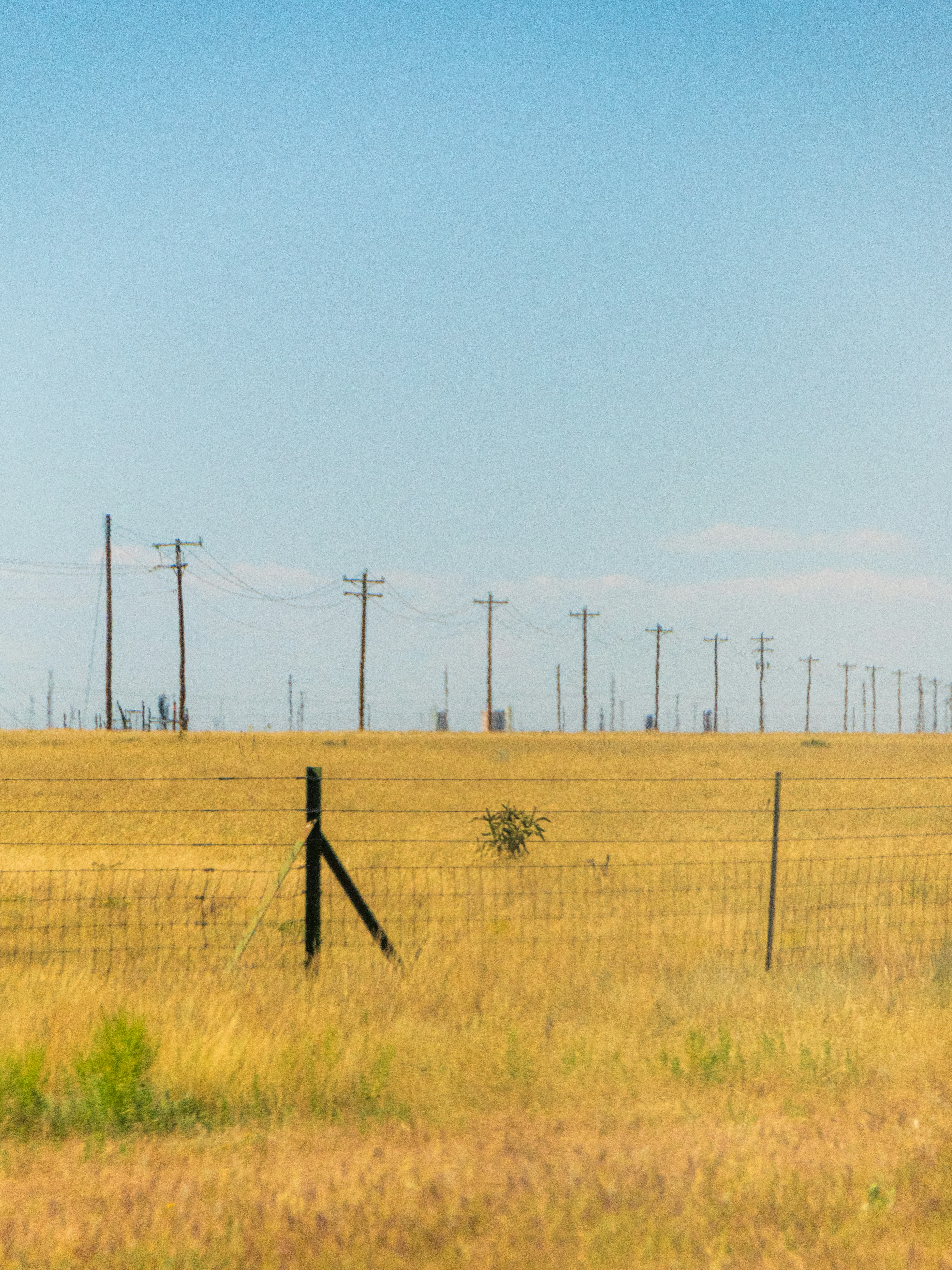 Photo by sankalpmudaliar