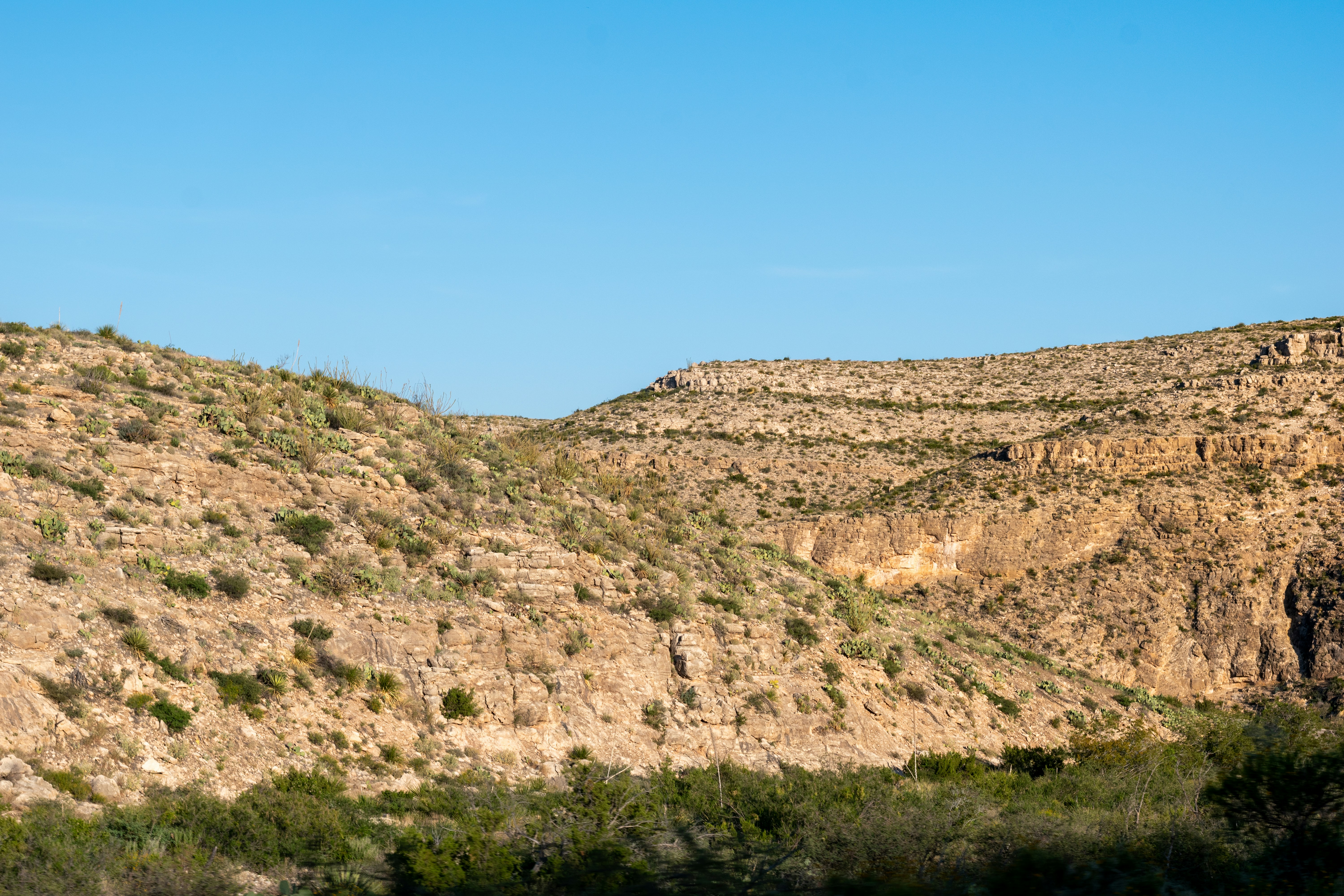 Photo by sankalpmudaliar