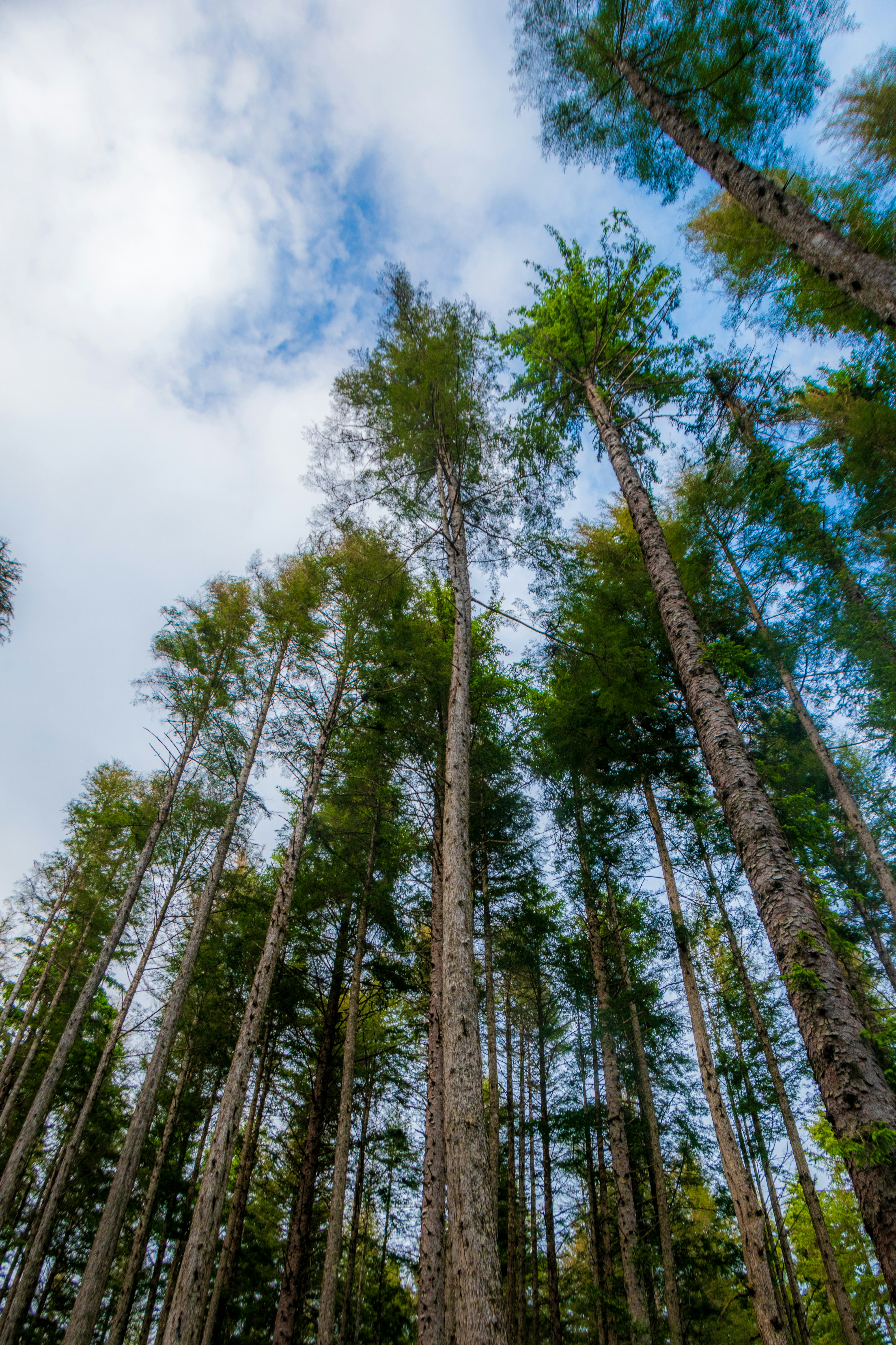 Photo by sankalpmudaliar