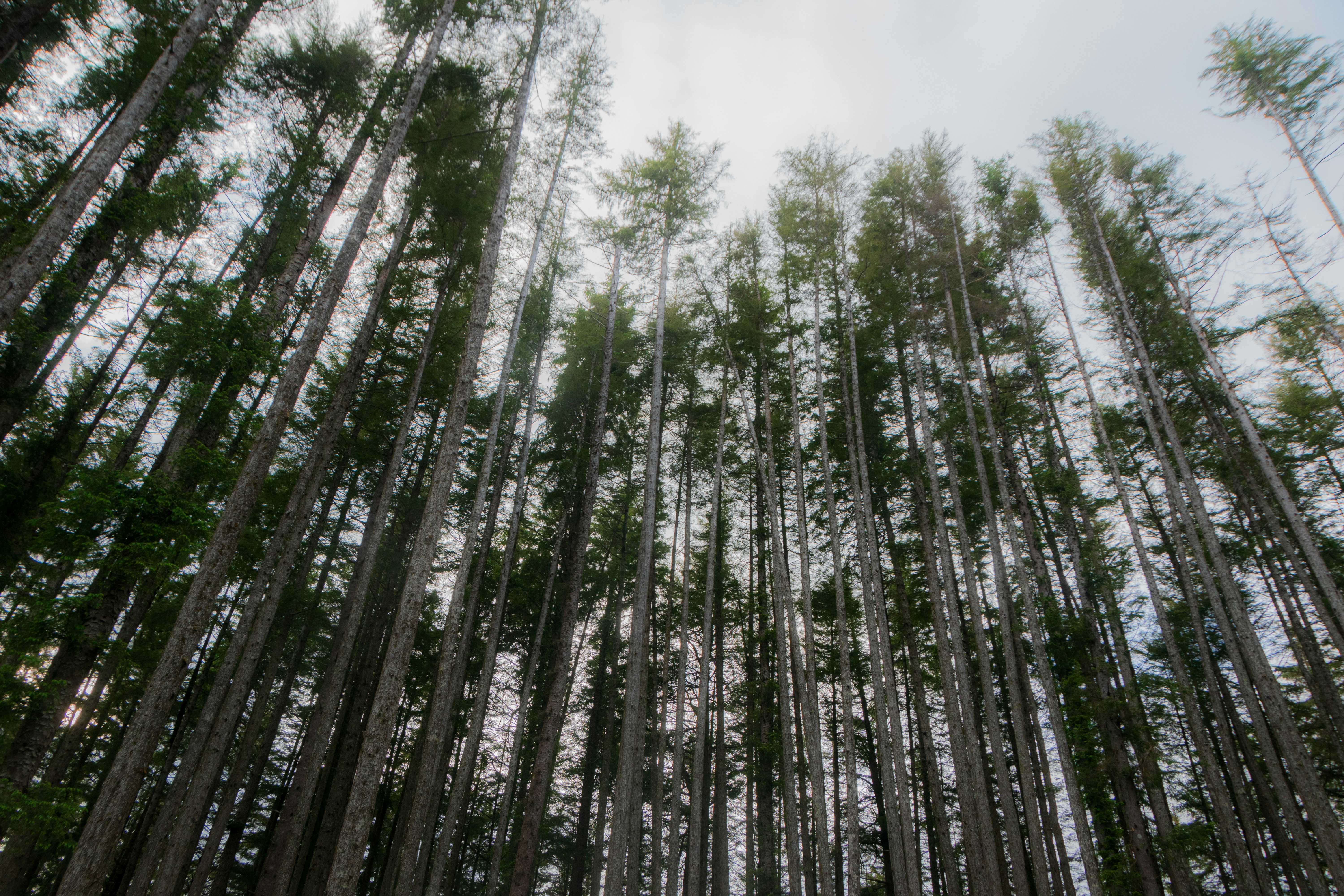 Photo by sankalpmudaliar