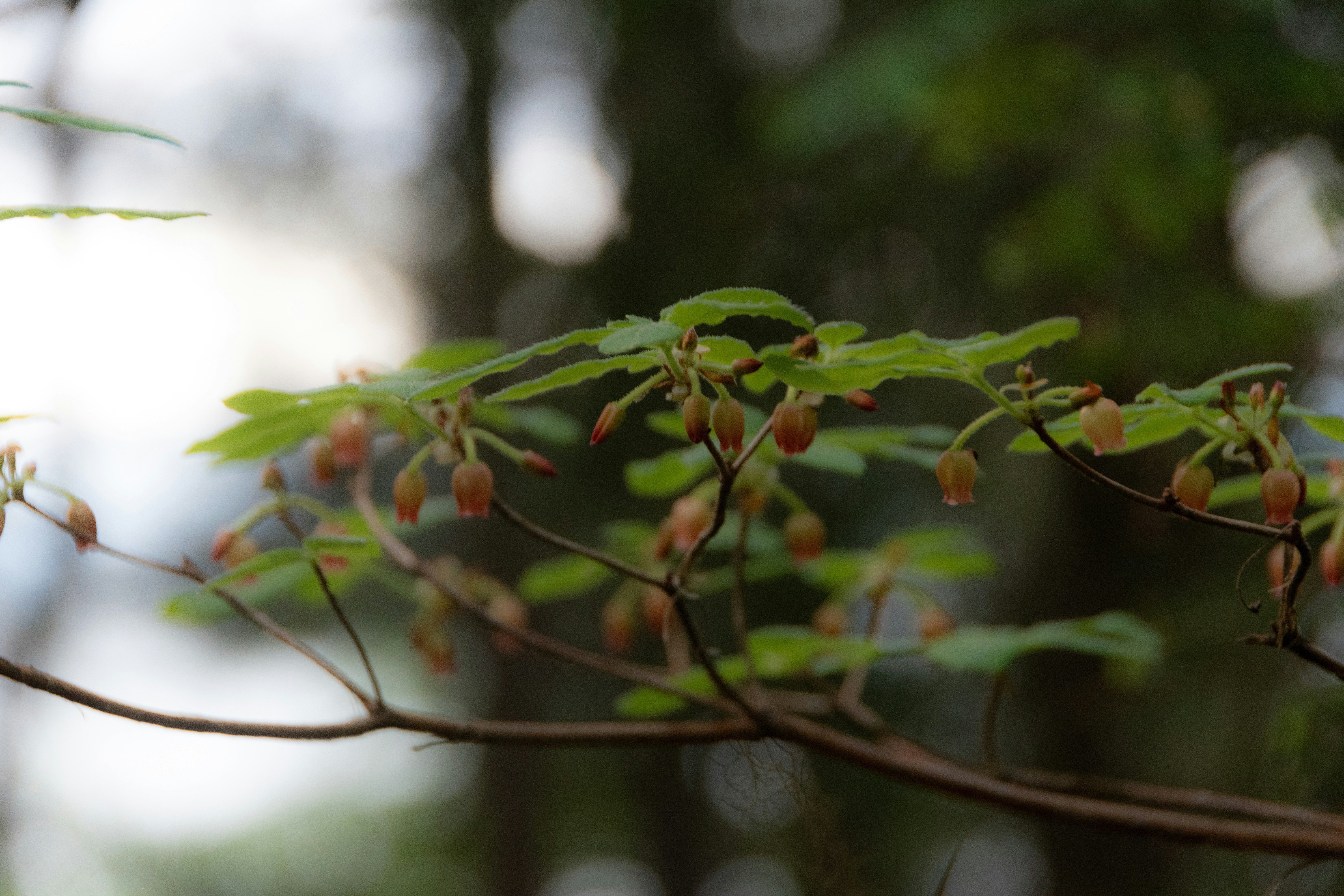 Photo by sankalpmudaliar