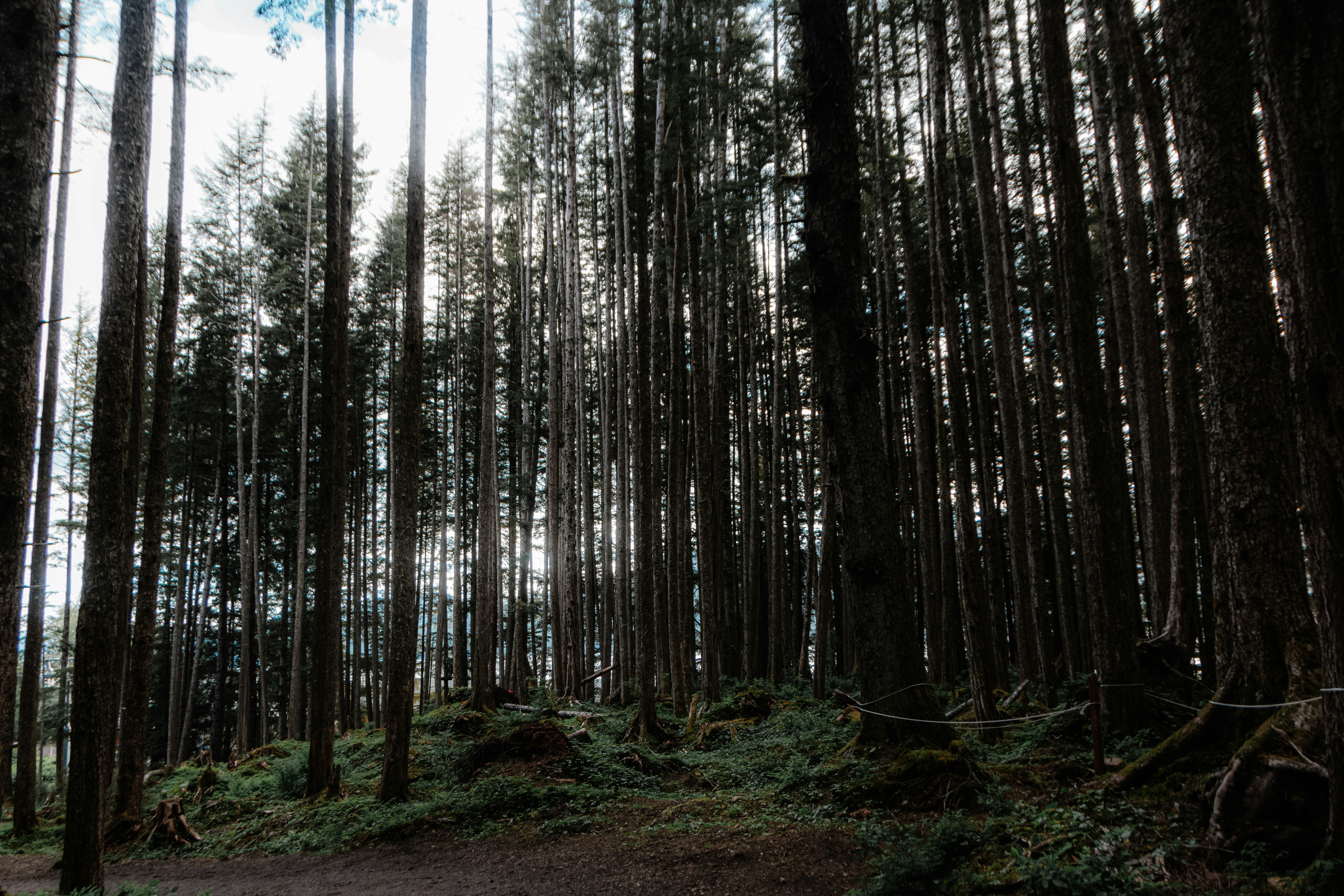 Photo by sankalpmudaliar