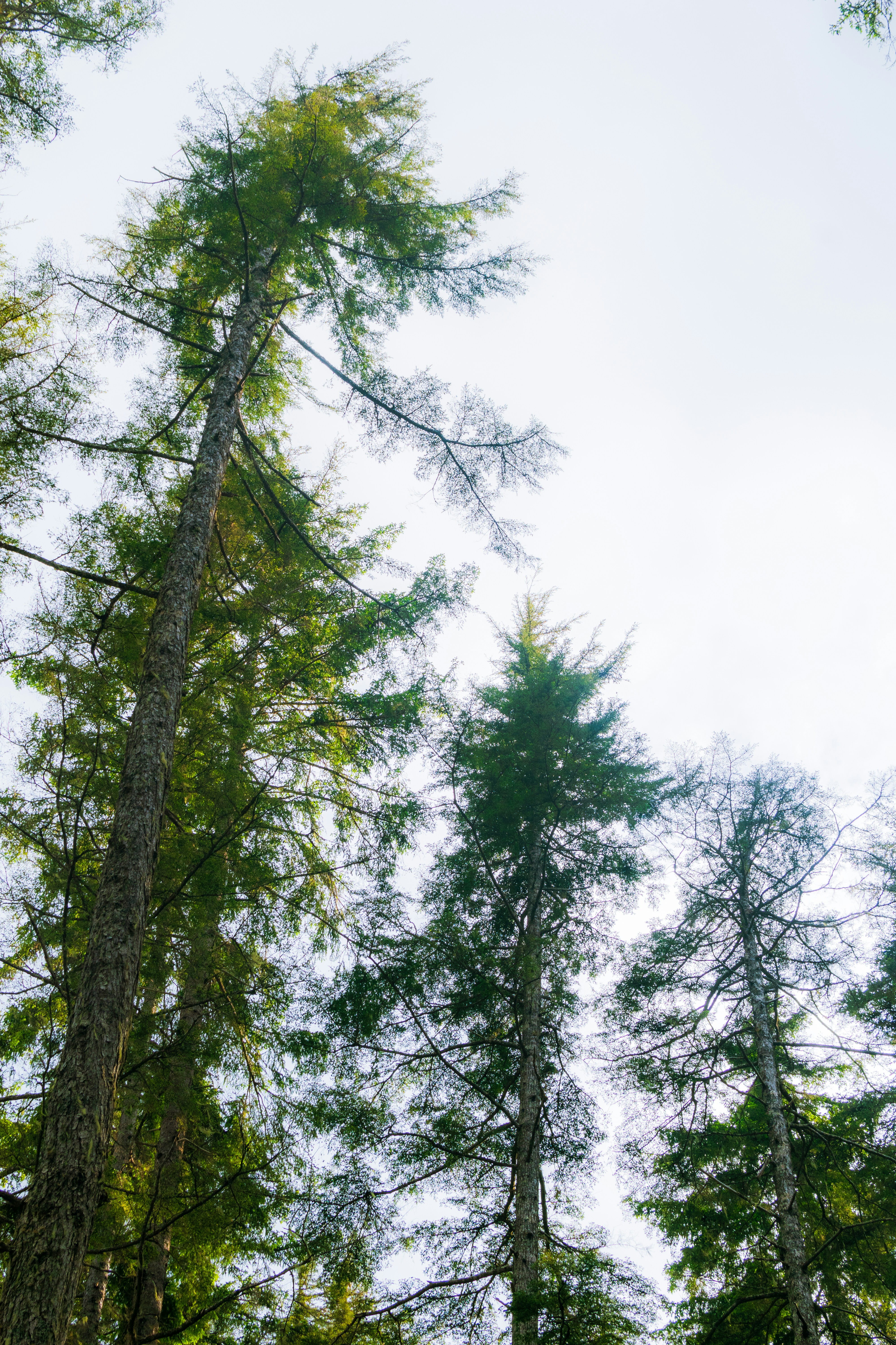 Photo by sankalpmudaliar