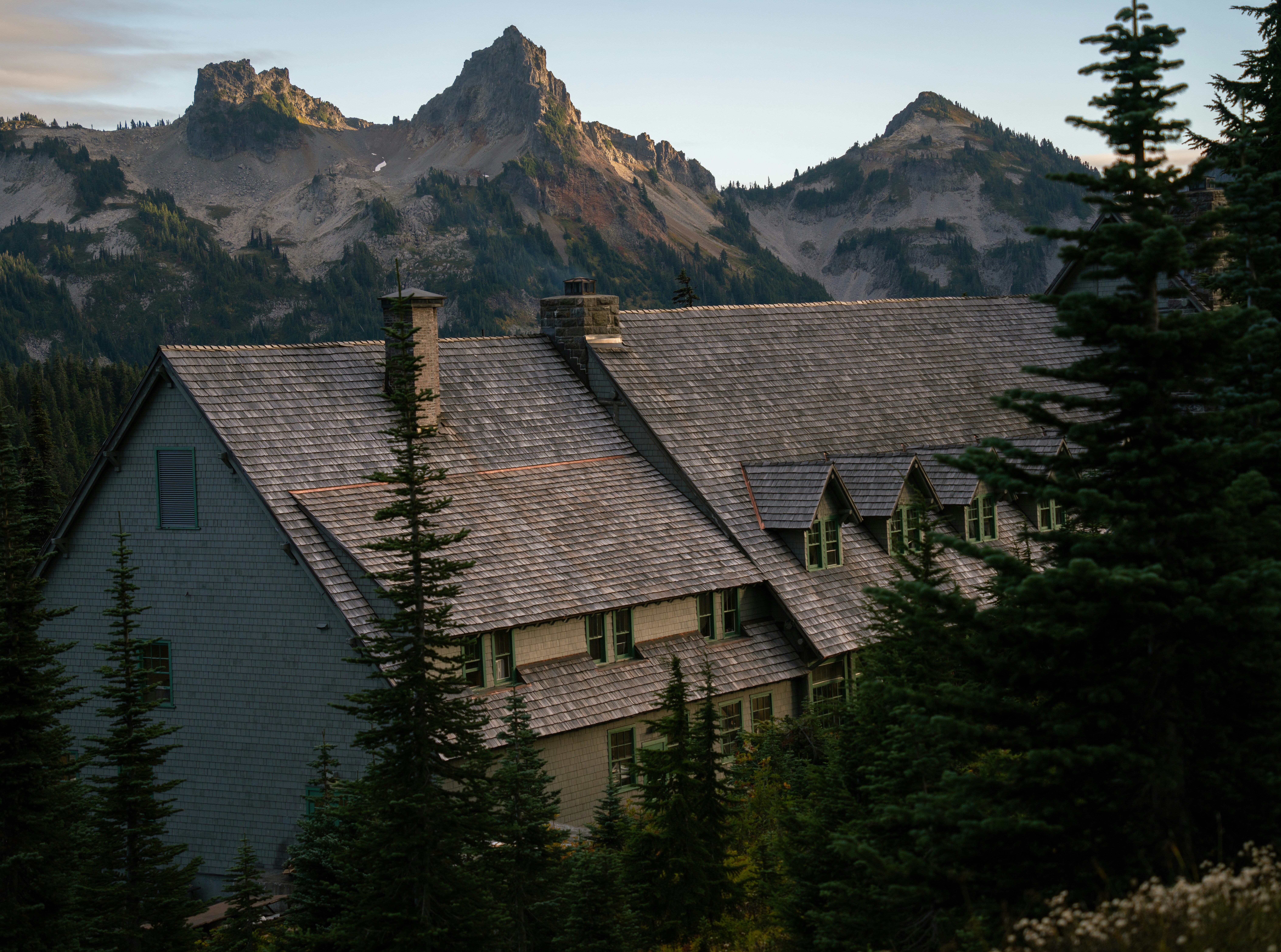 photo-1729201957600-3669008b3400?ixid=M3