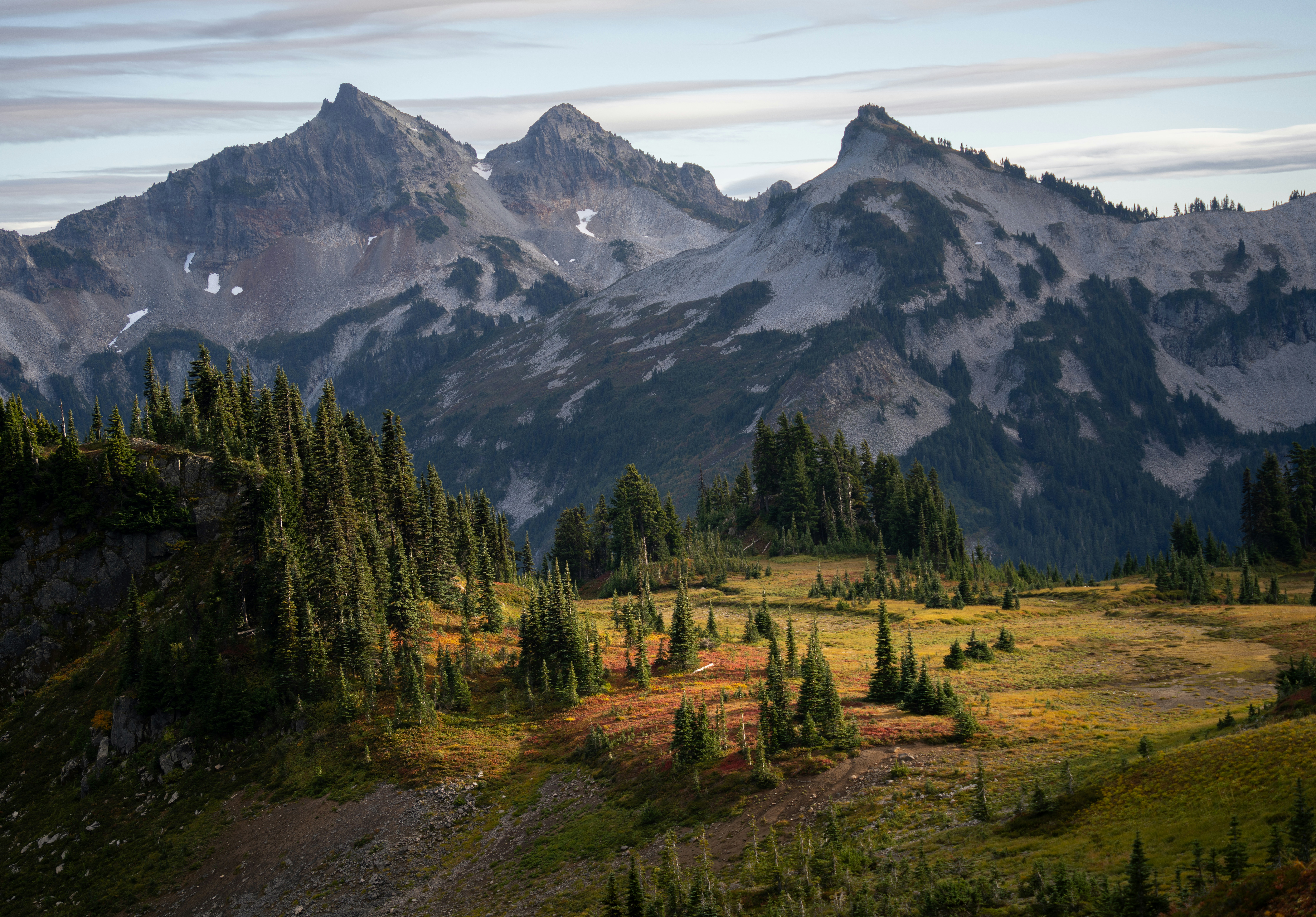 A scenic view of a mountain range with trees in the foreground