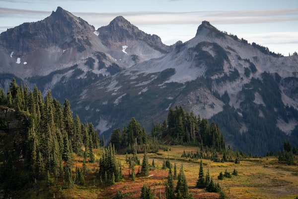 Scenic mountain range vista with evergreen trees, gateway to Mt. Rainier hiking and outdoor recreation
