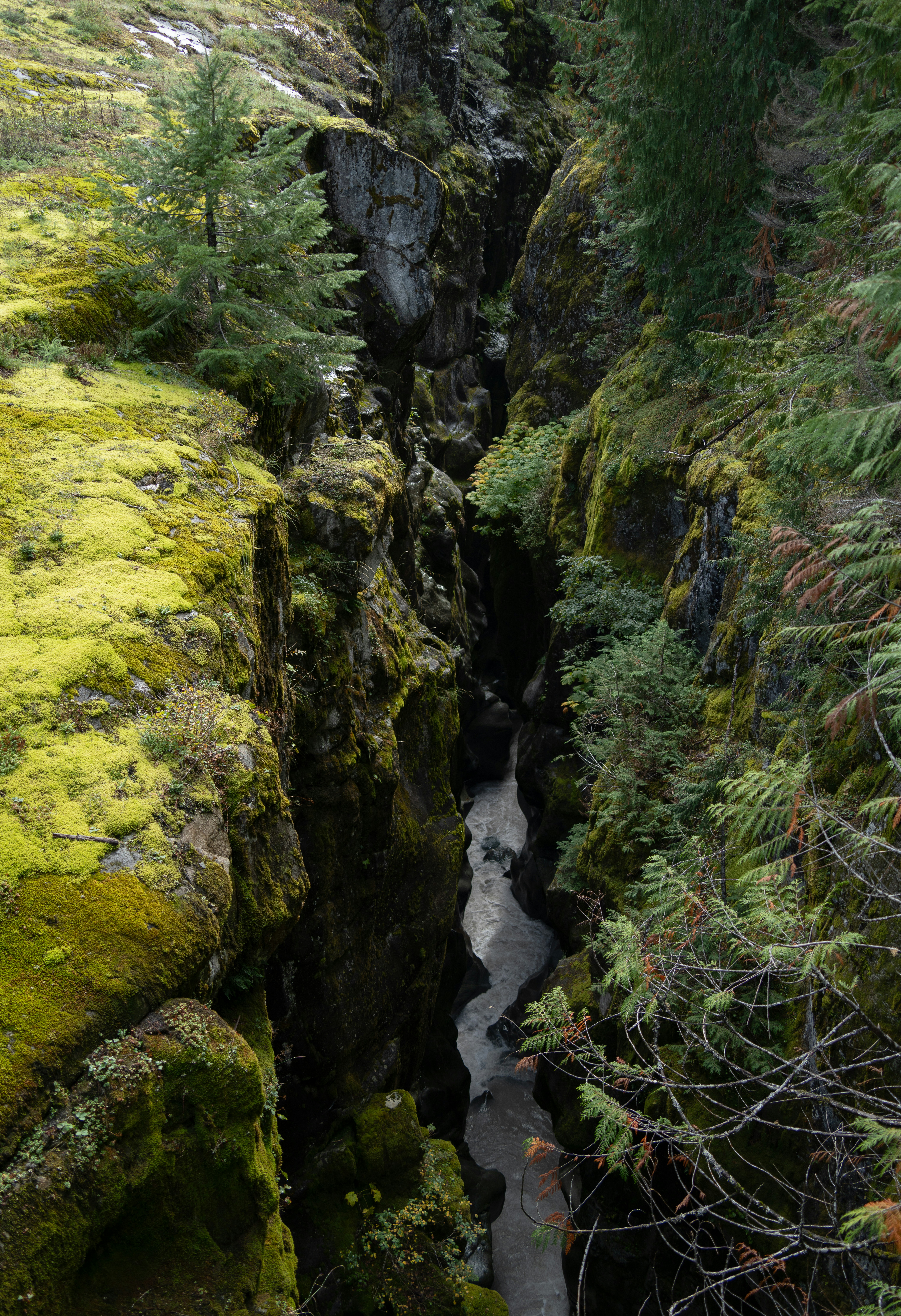 Photo by alexmoliski