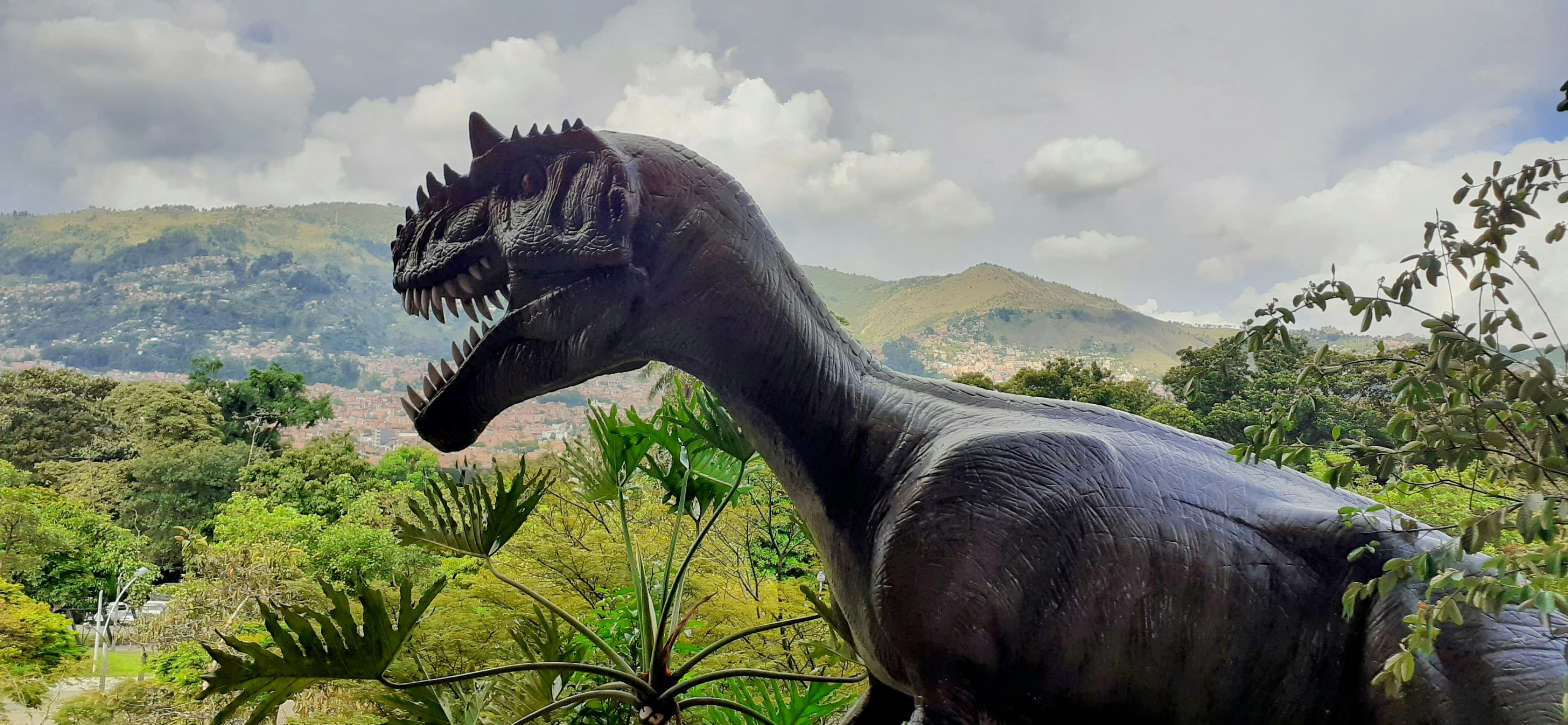 Argentine Dinosaur Rewrites Entire Evolutionary History of Alvarezsaurids
