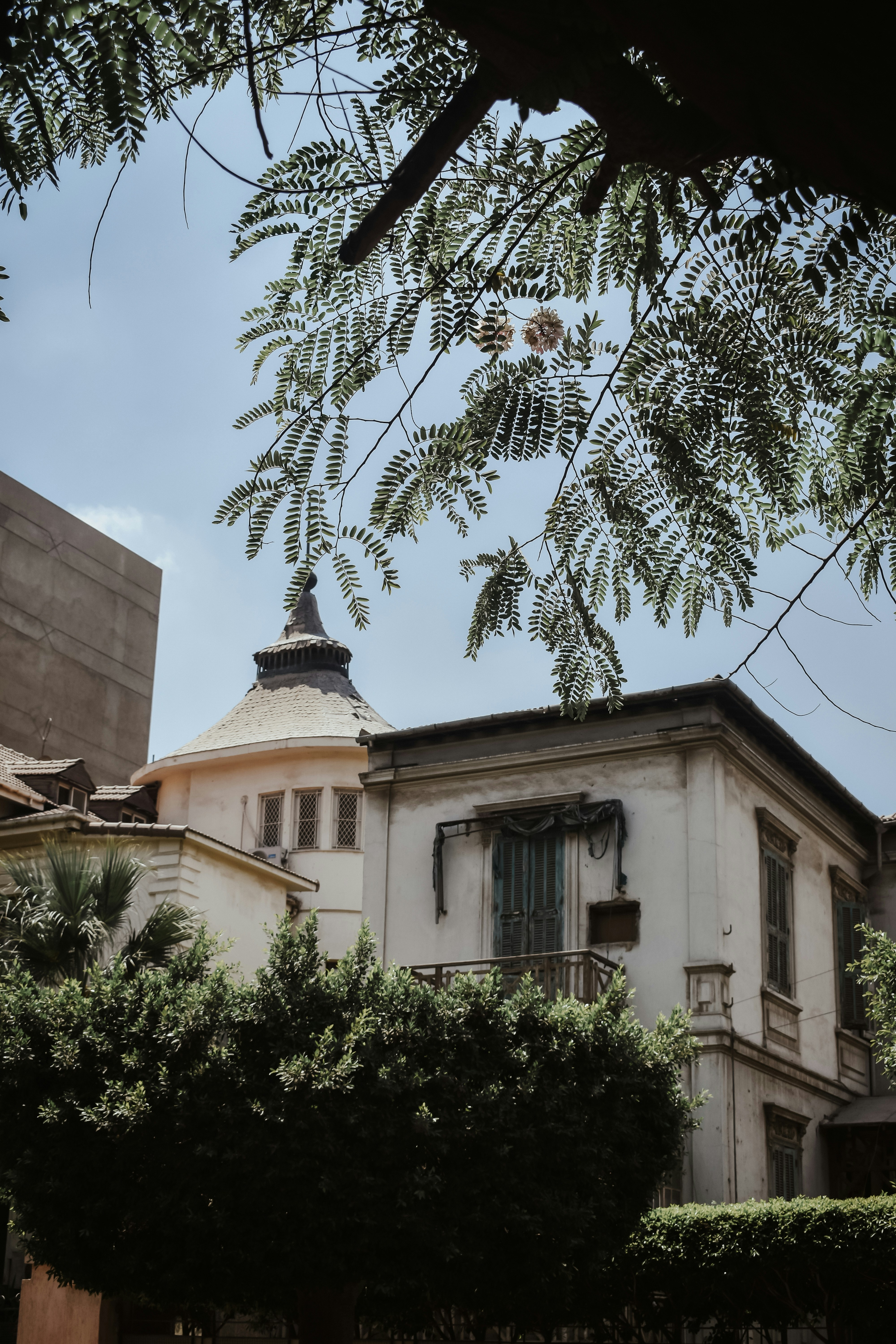 Photo by nourhan_m_sabek