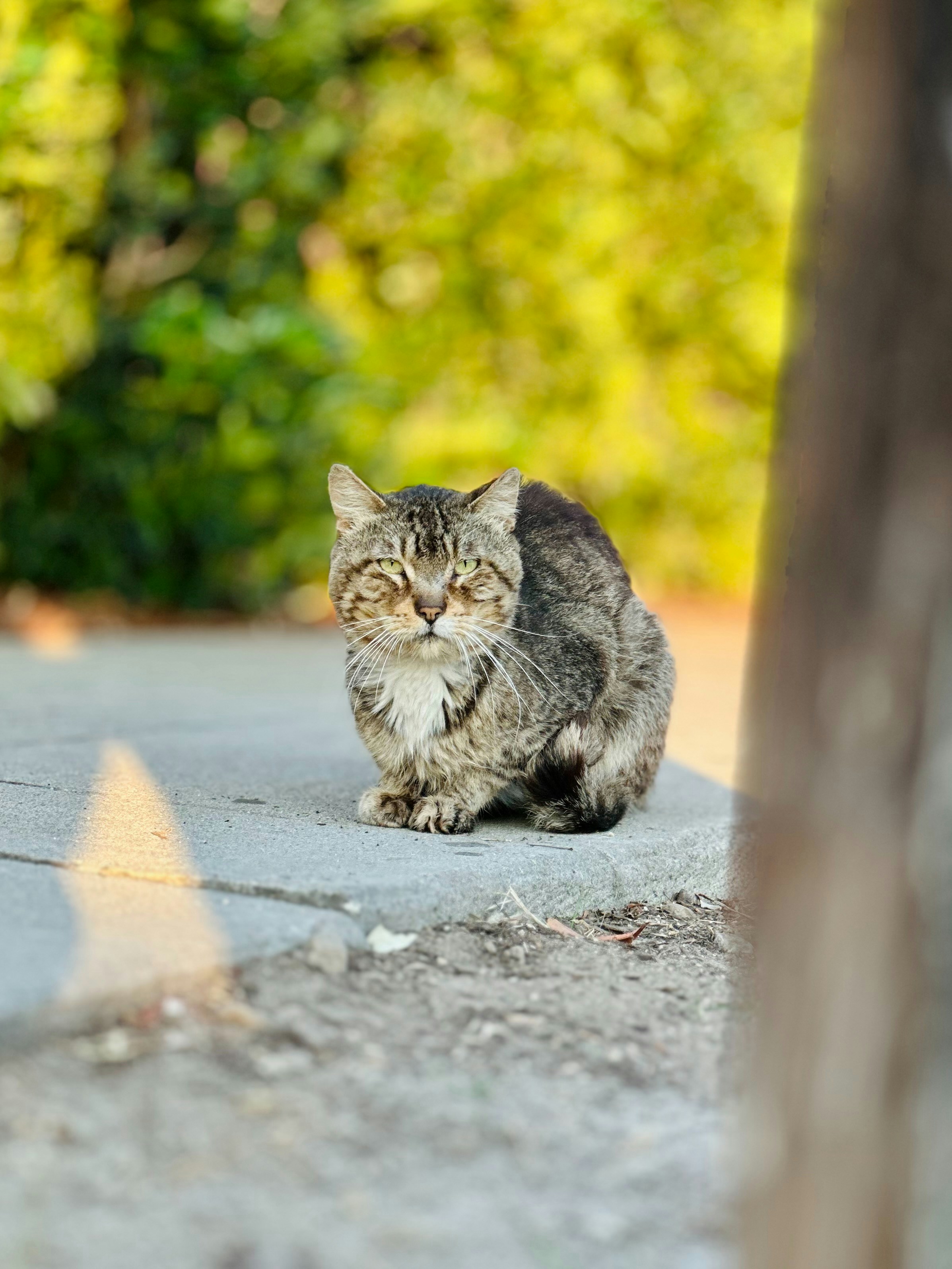 Photo by paulalexinc