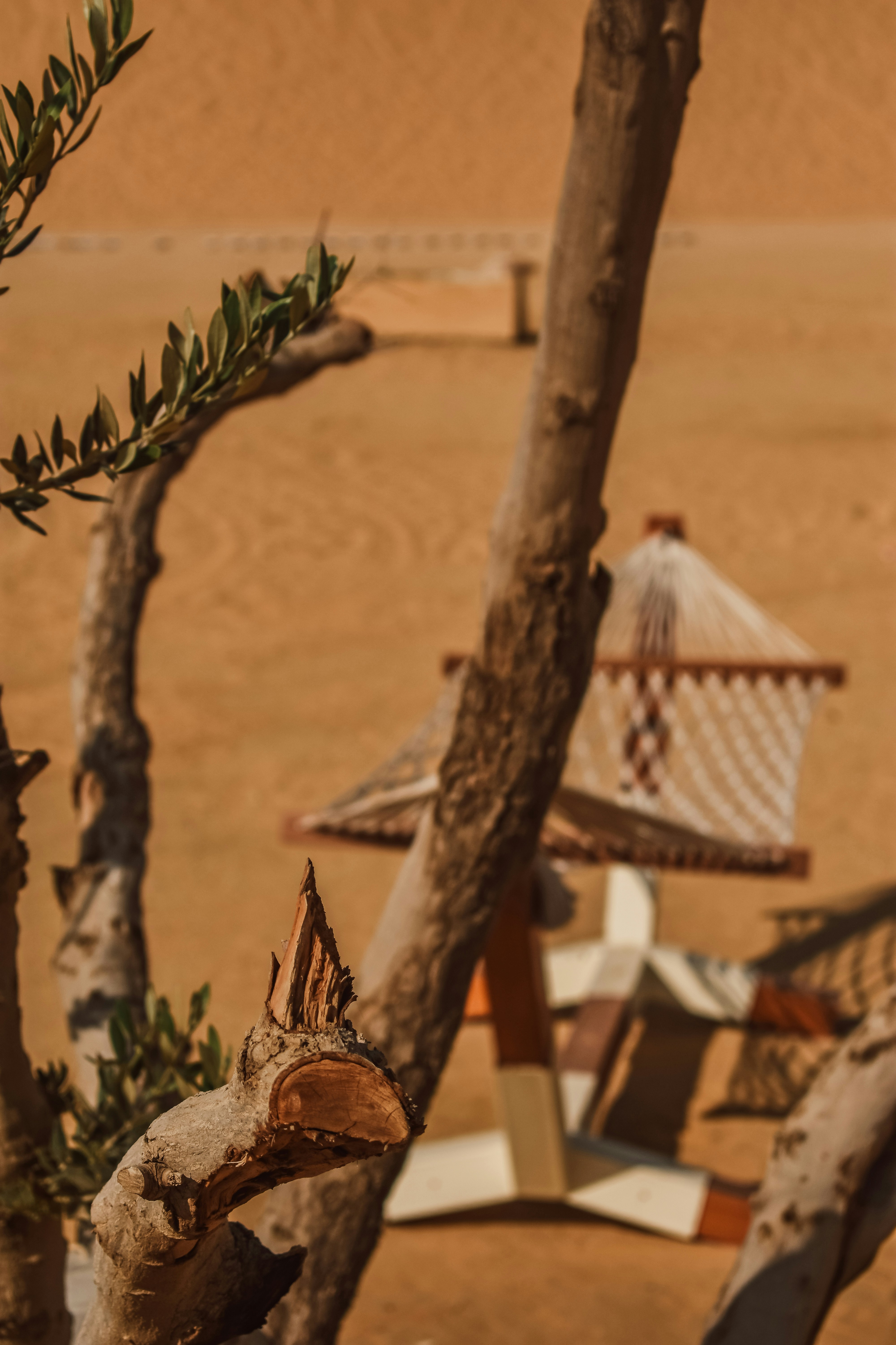 Photo by nourhan_m_sabek