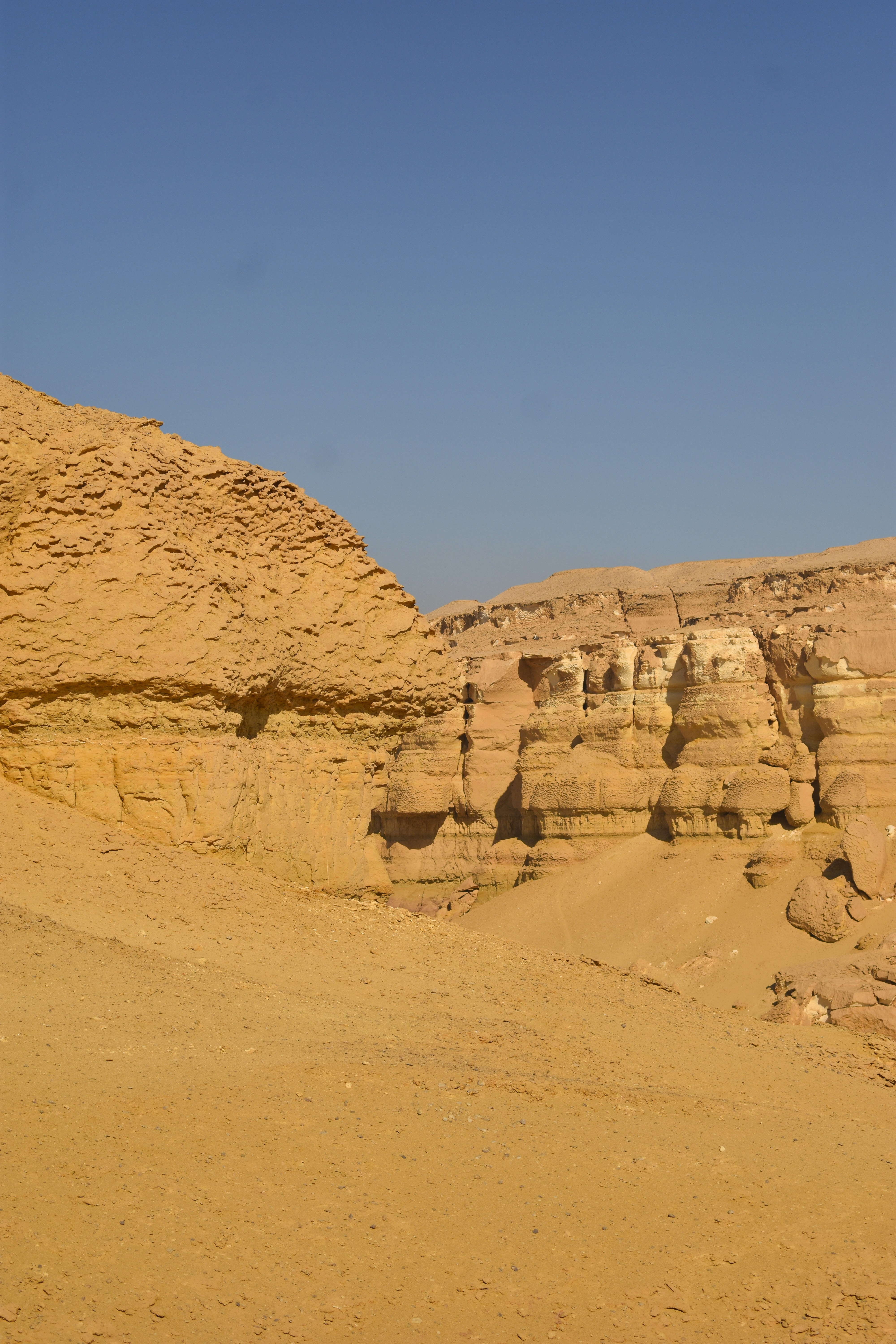 Photo by nourhan_m_sabek