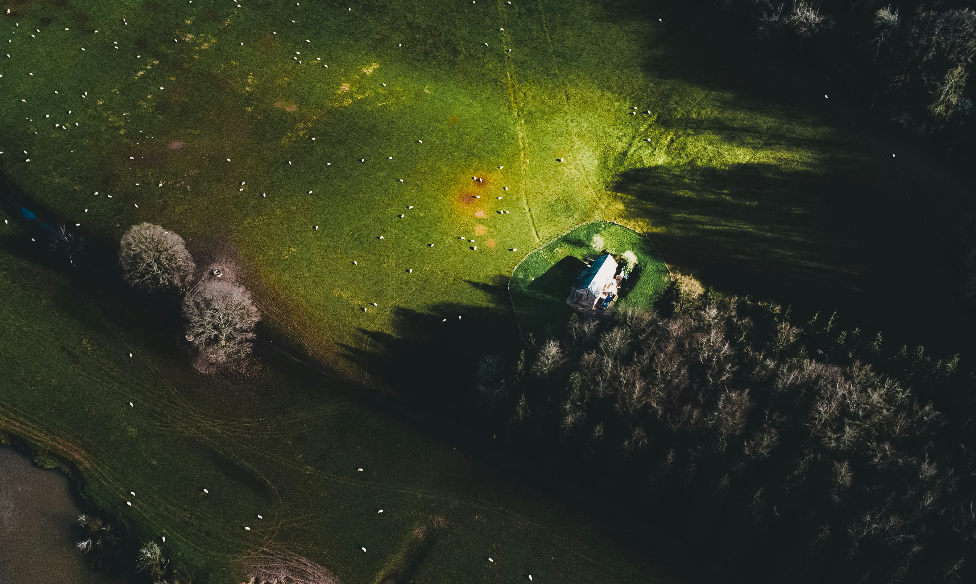 Photo by benjamin_photography