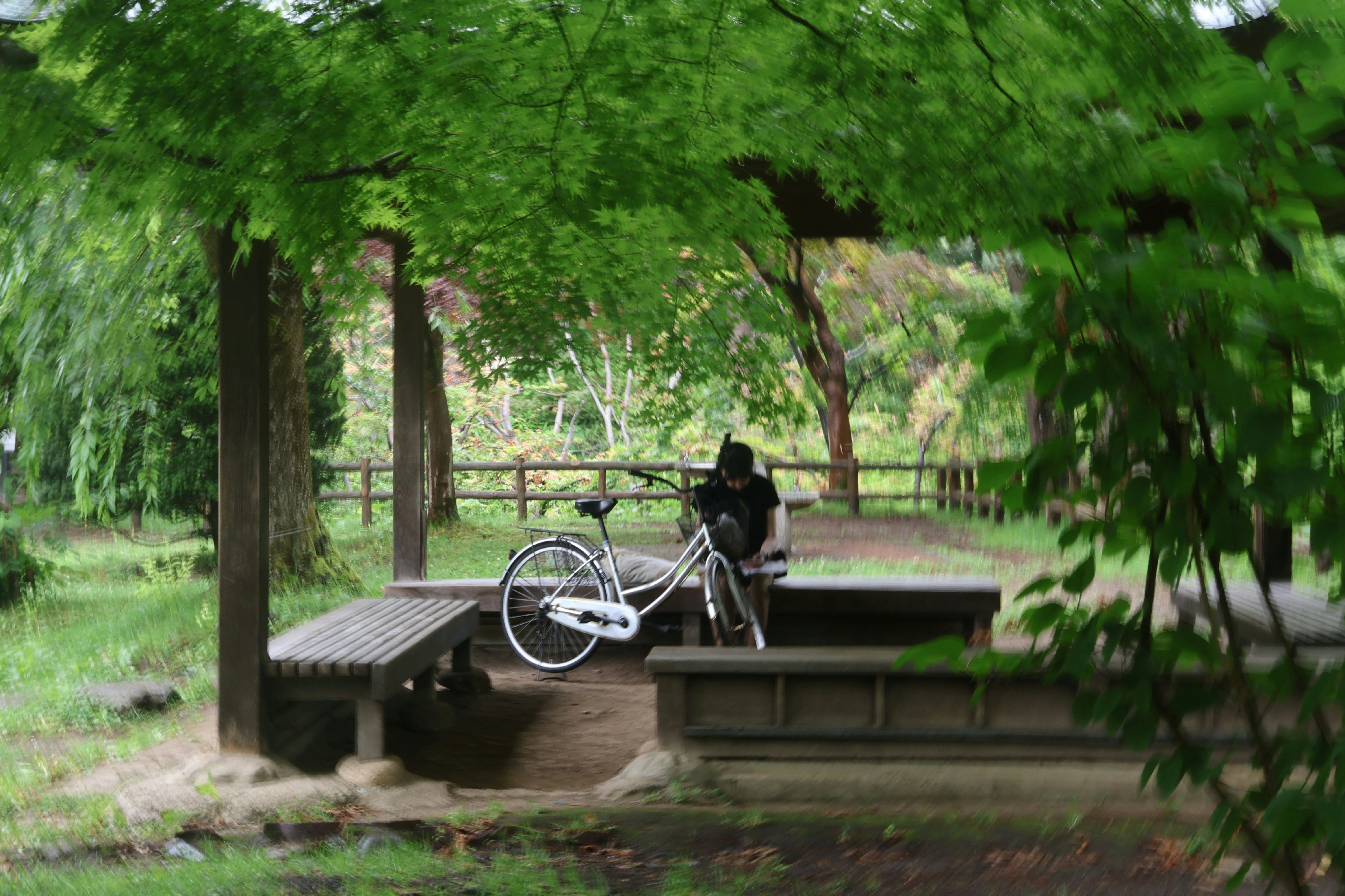 A world stripped of all noise.