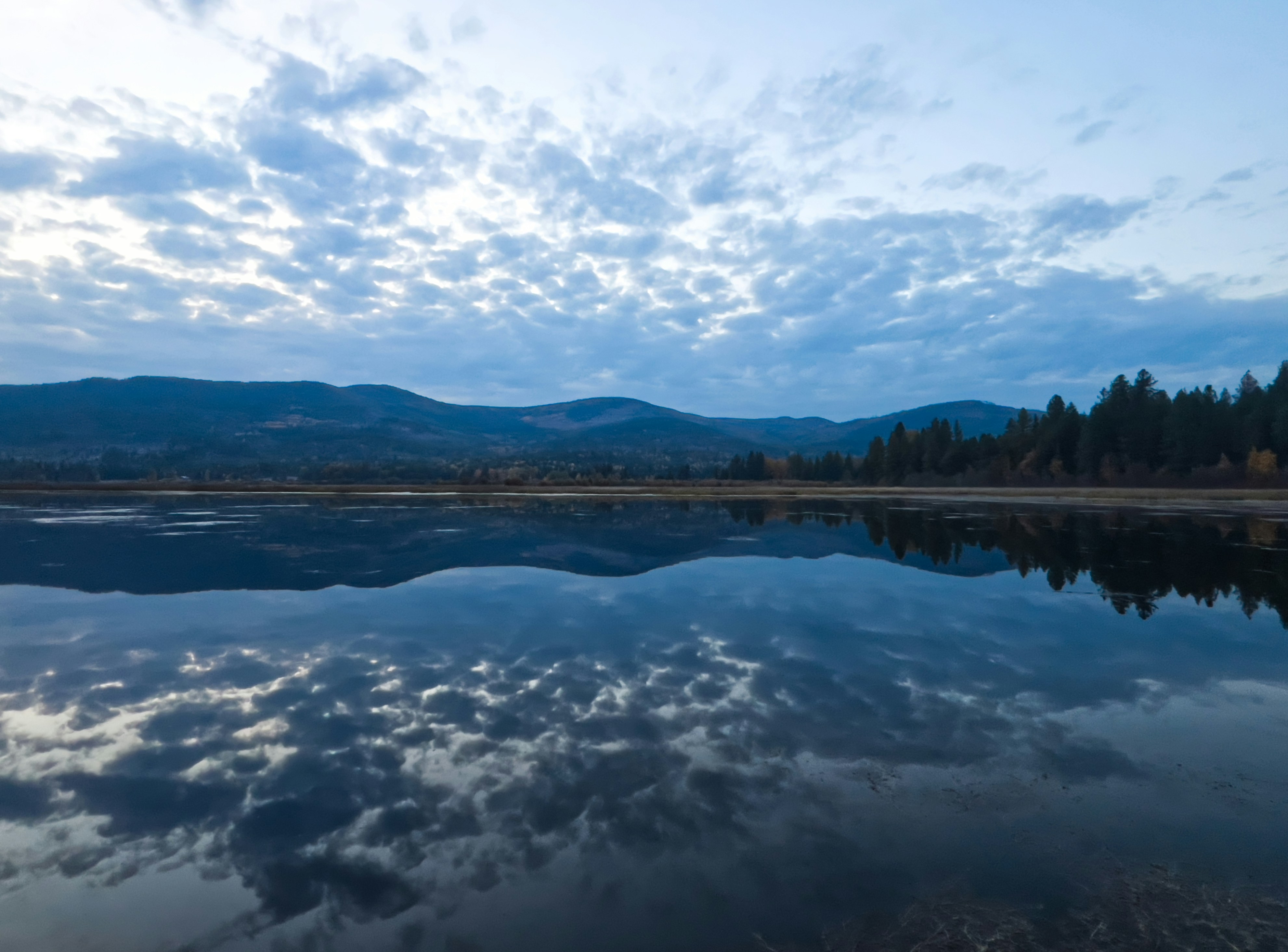 Photo by city2forest