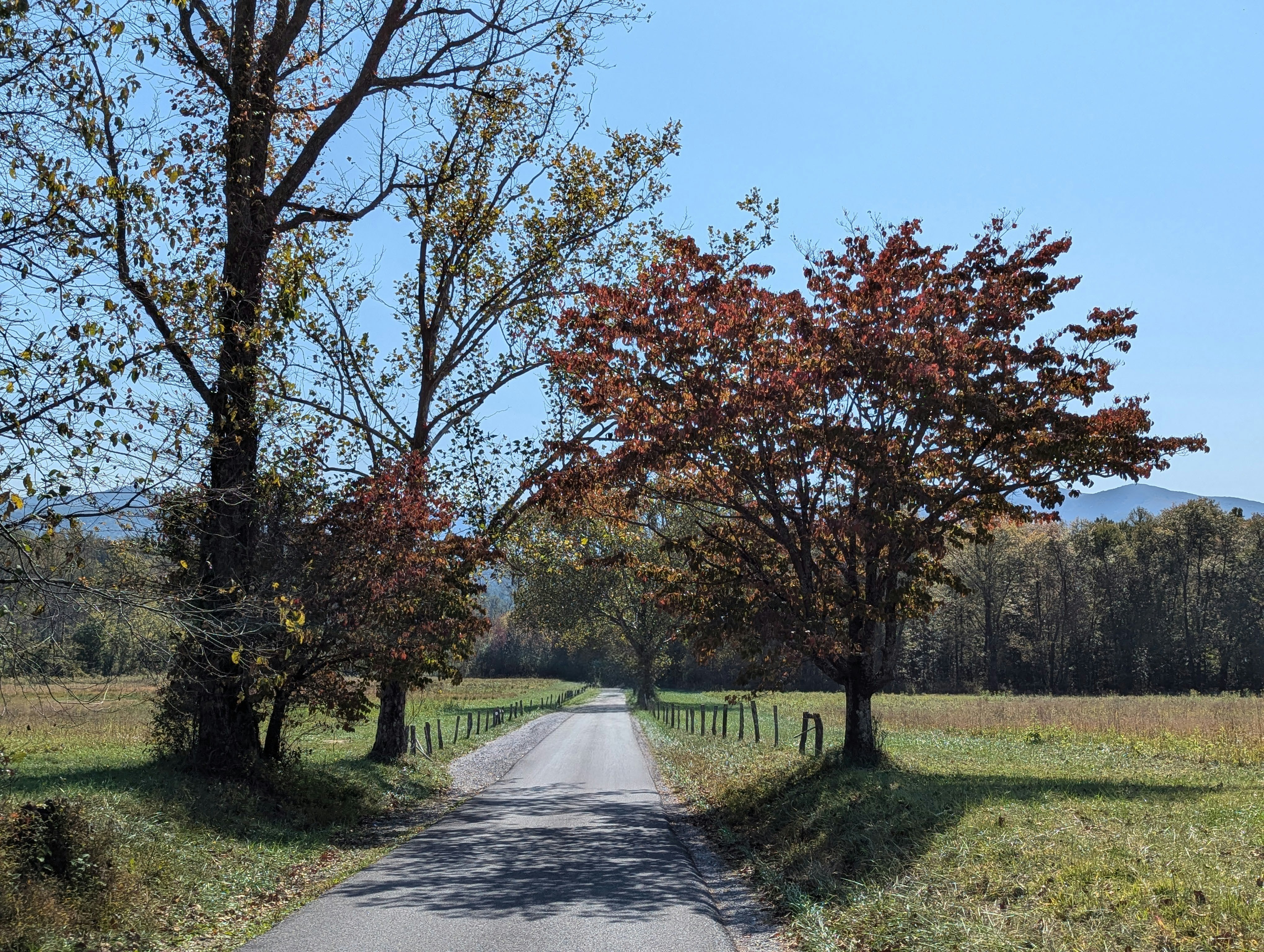 Photo by jeanharrton