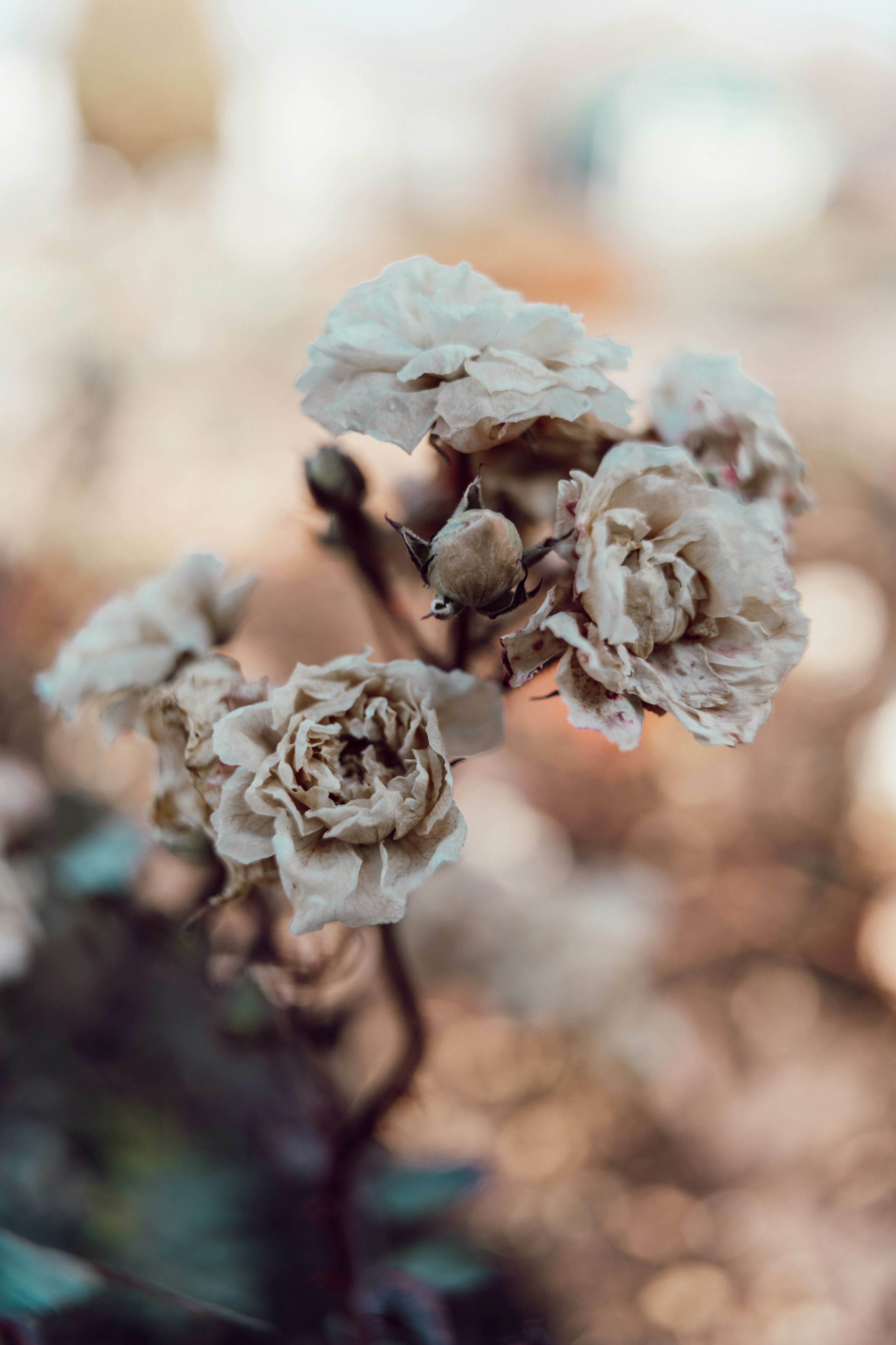 Photo by anamnesis33