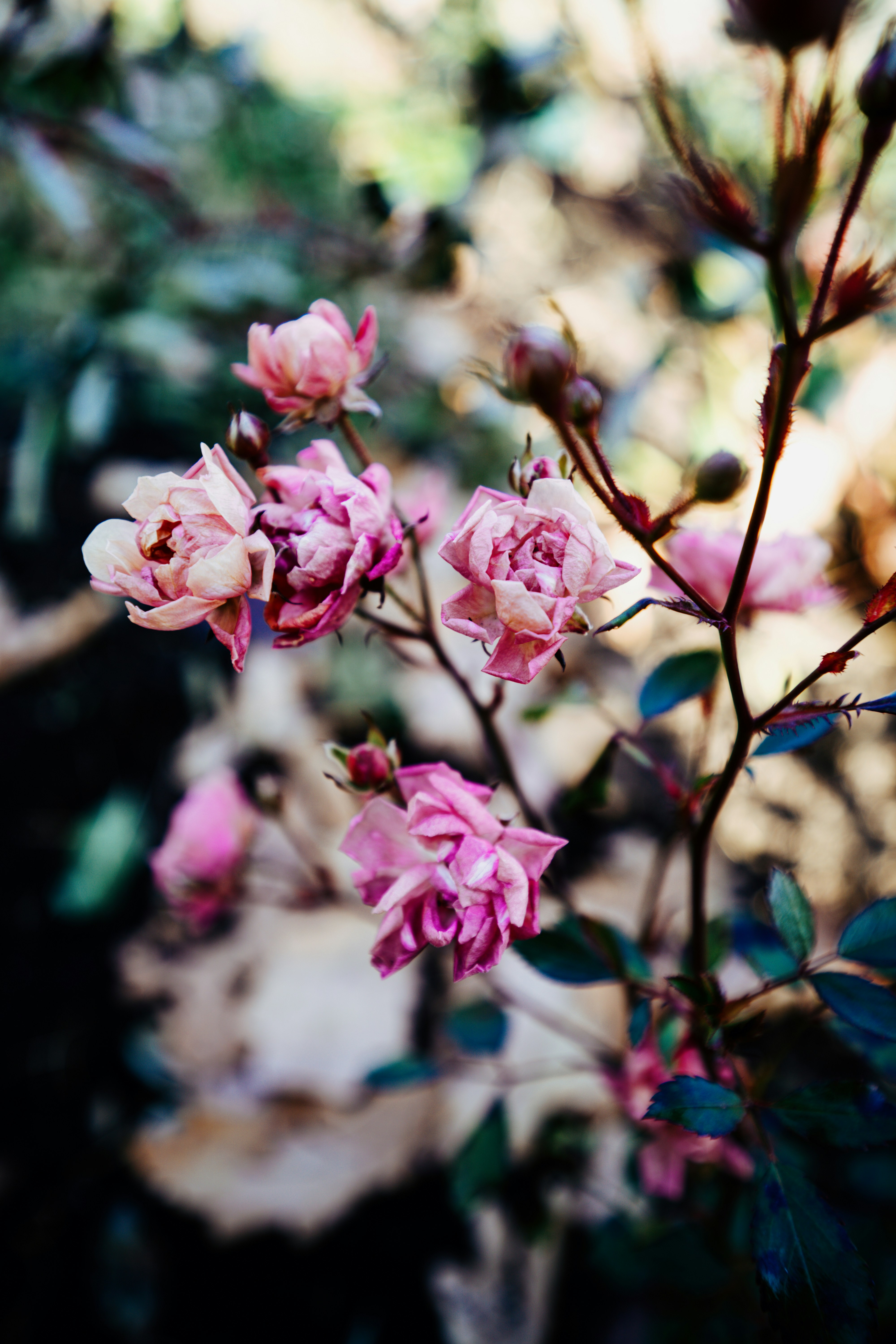 Photo by anamnesis33