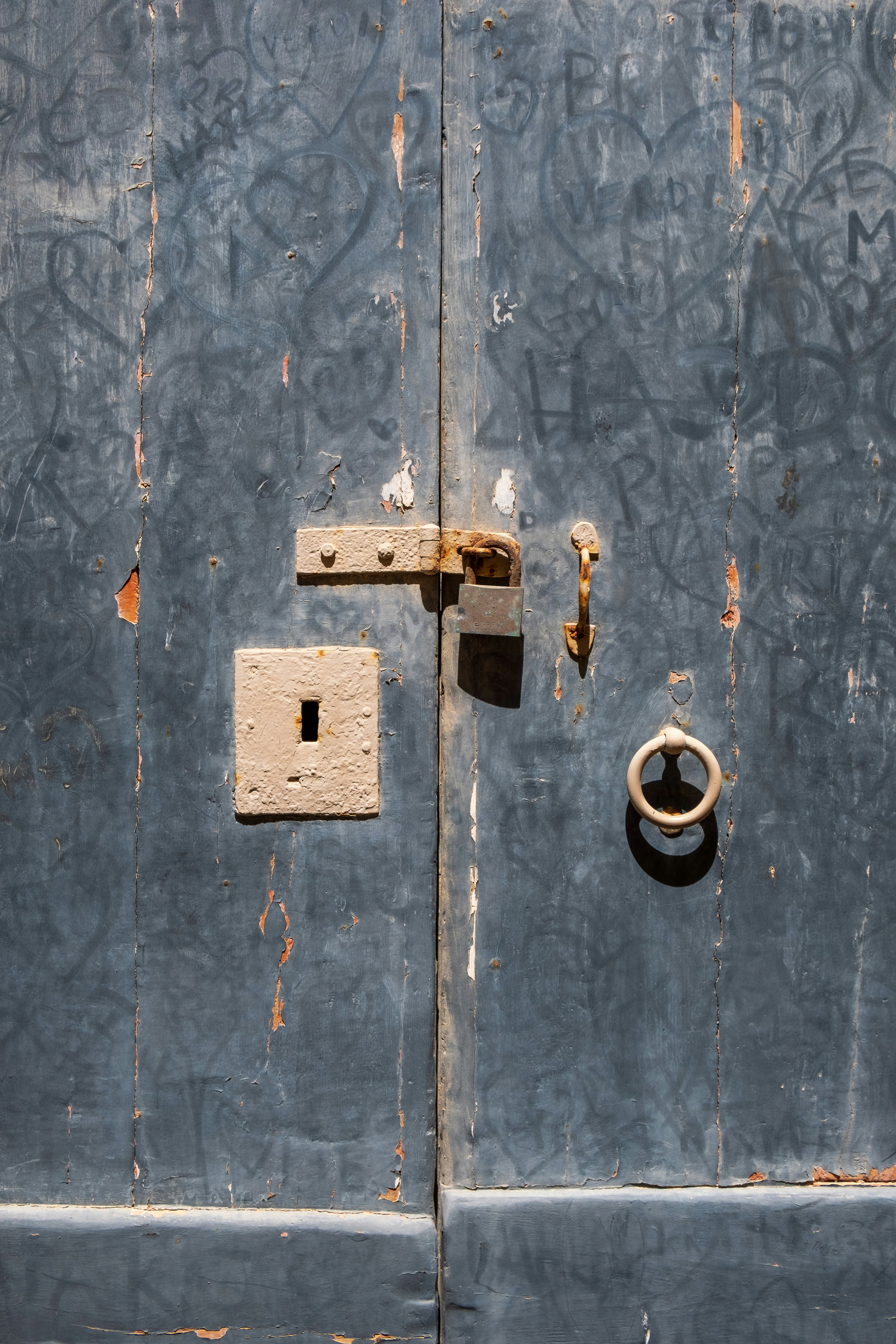 A close up of a door with a ring on it