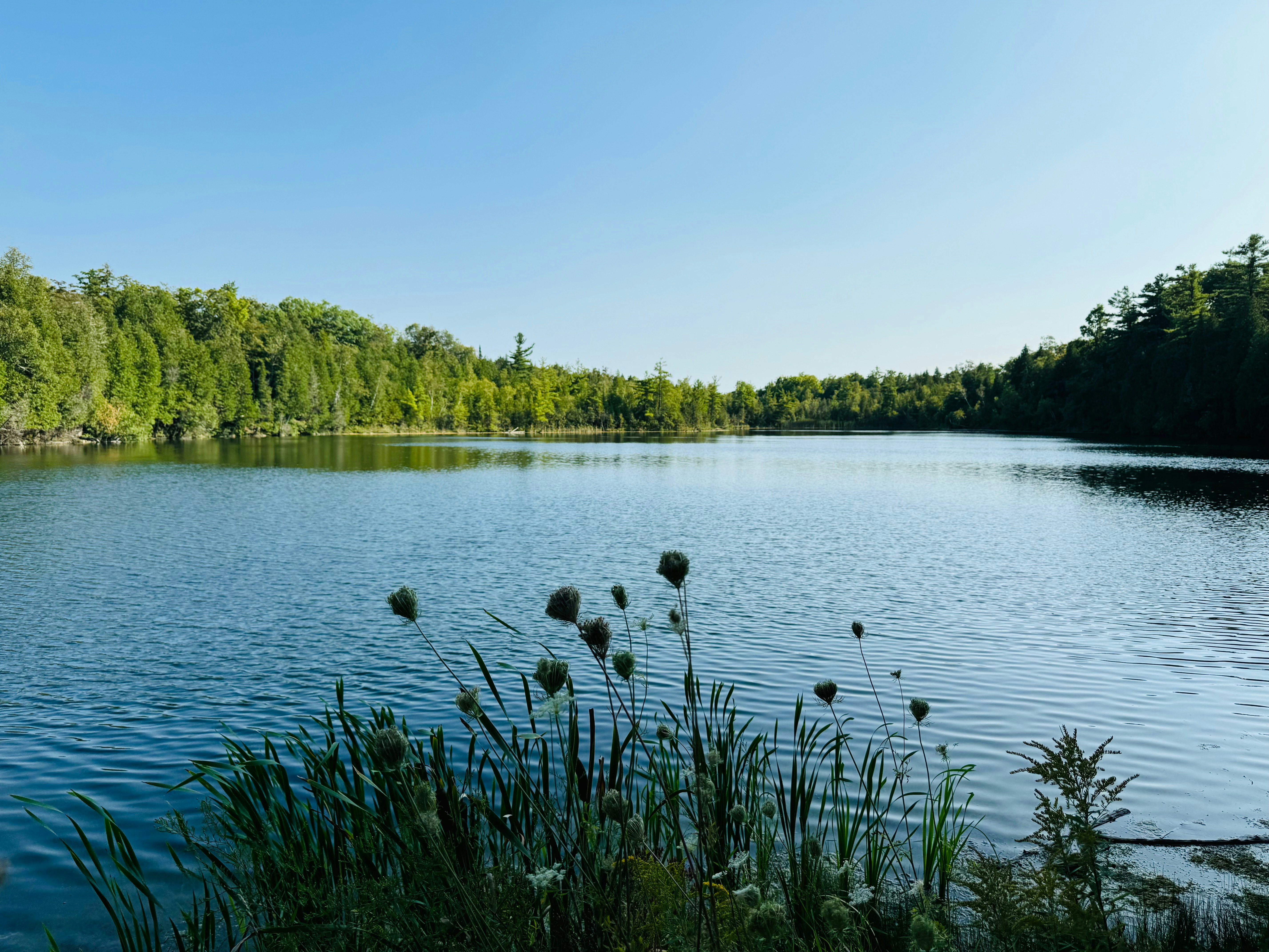 Photo by wanderingsoul074