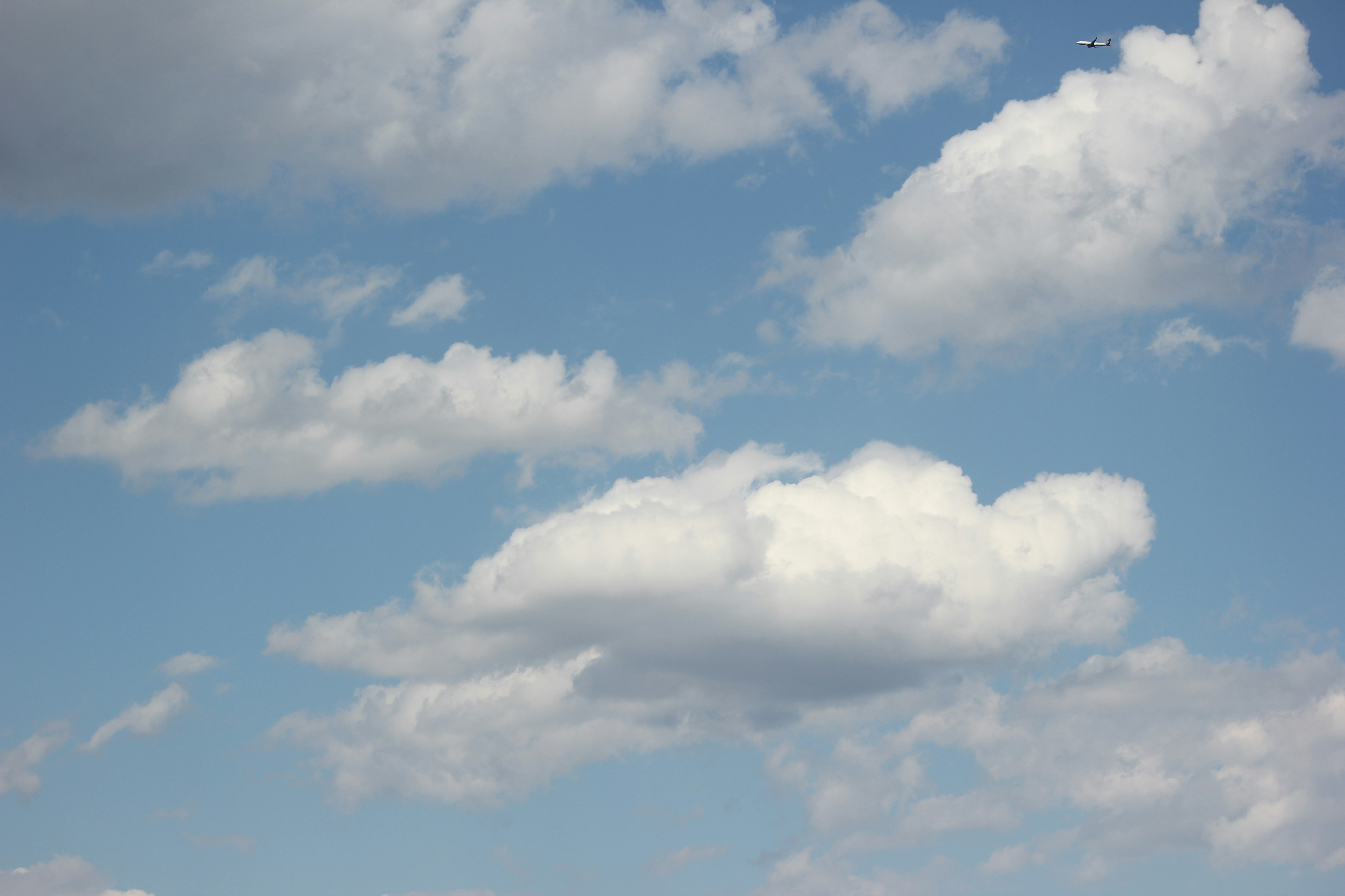 Photo by frolicsomefairy