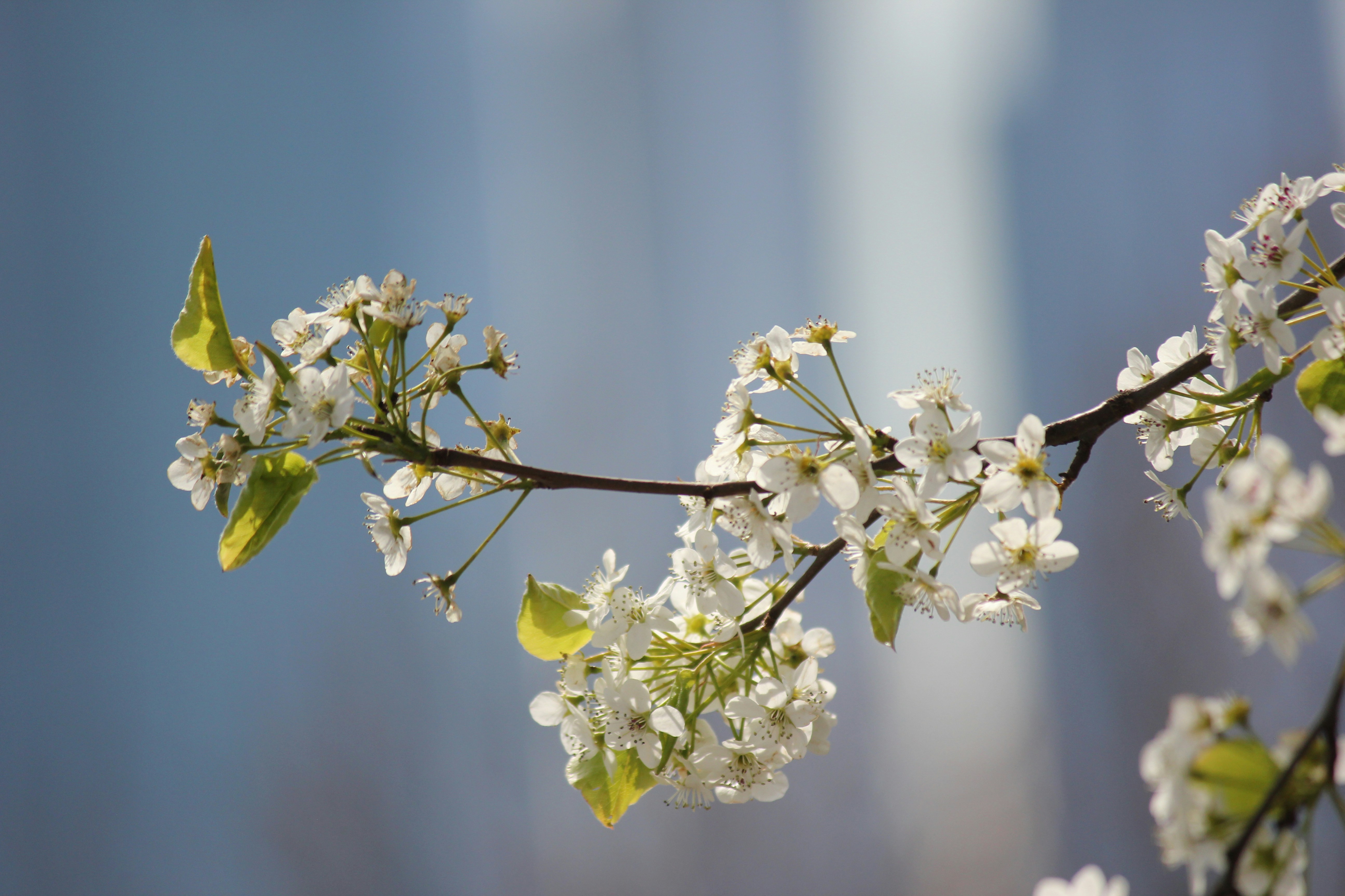 Photo by frolicsomefairy