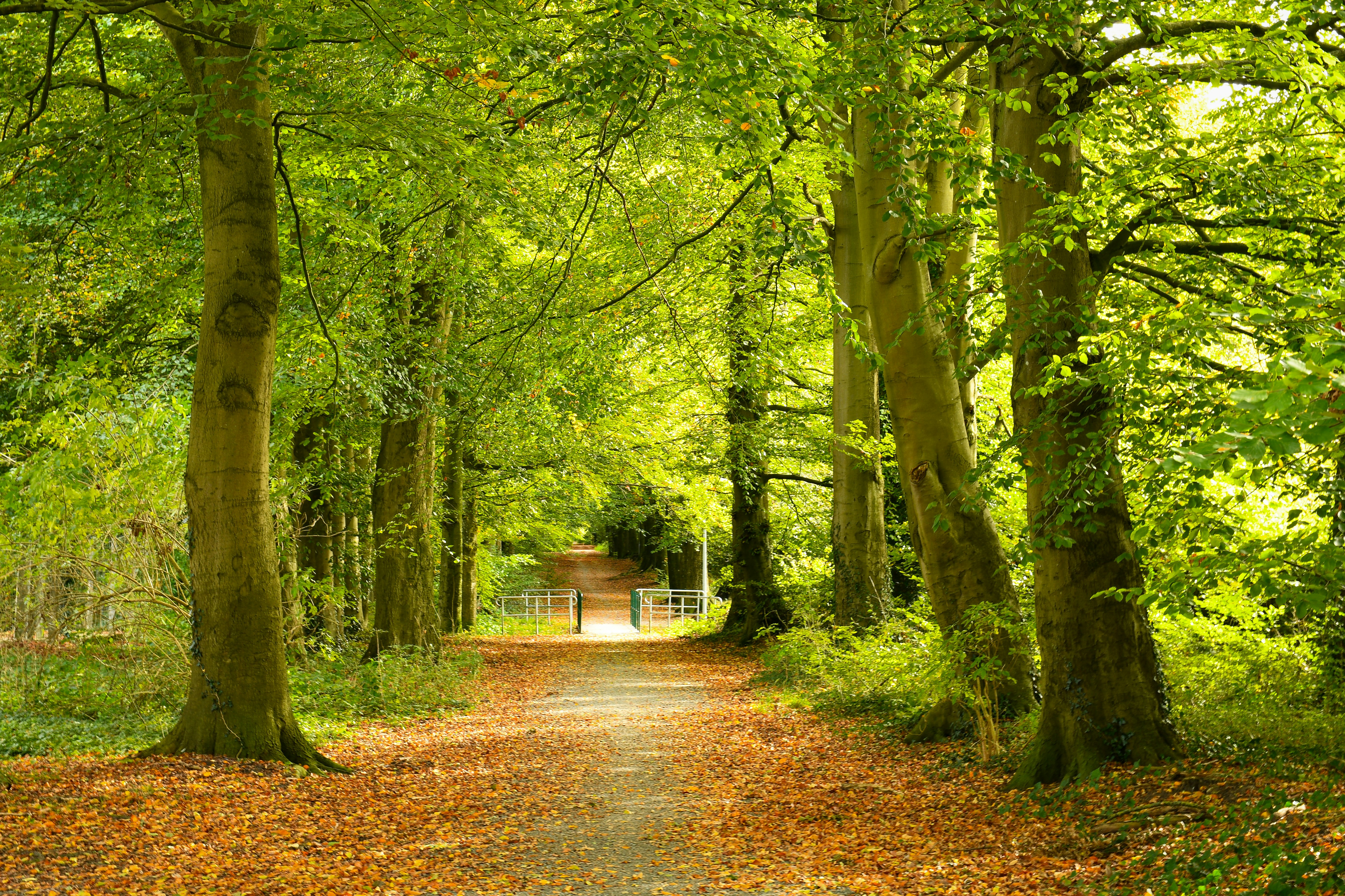 Photo by sredina_jeseni