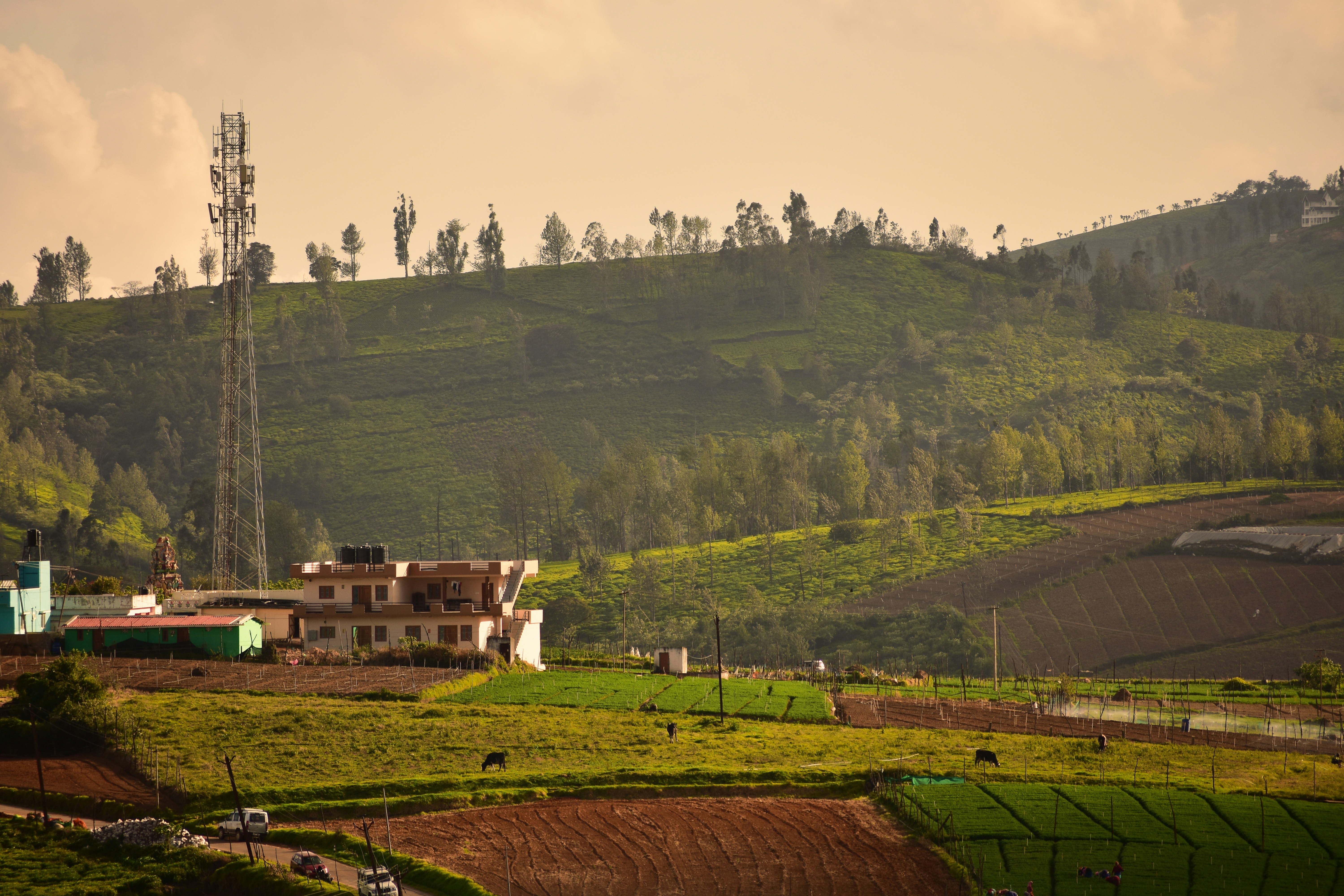A green hill with a house on top of it