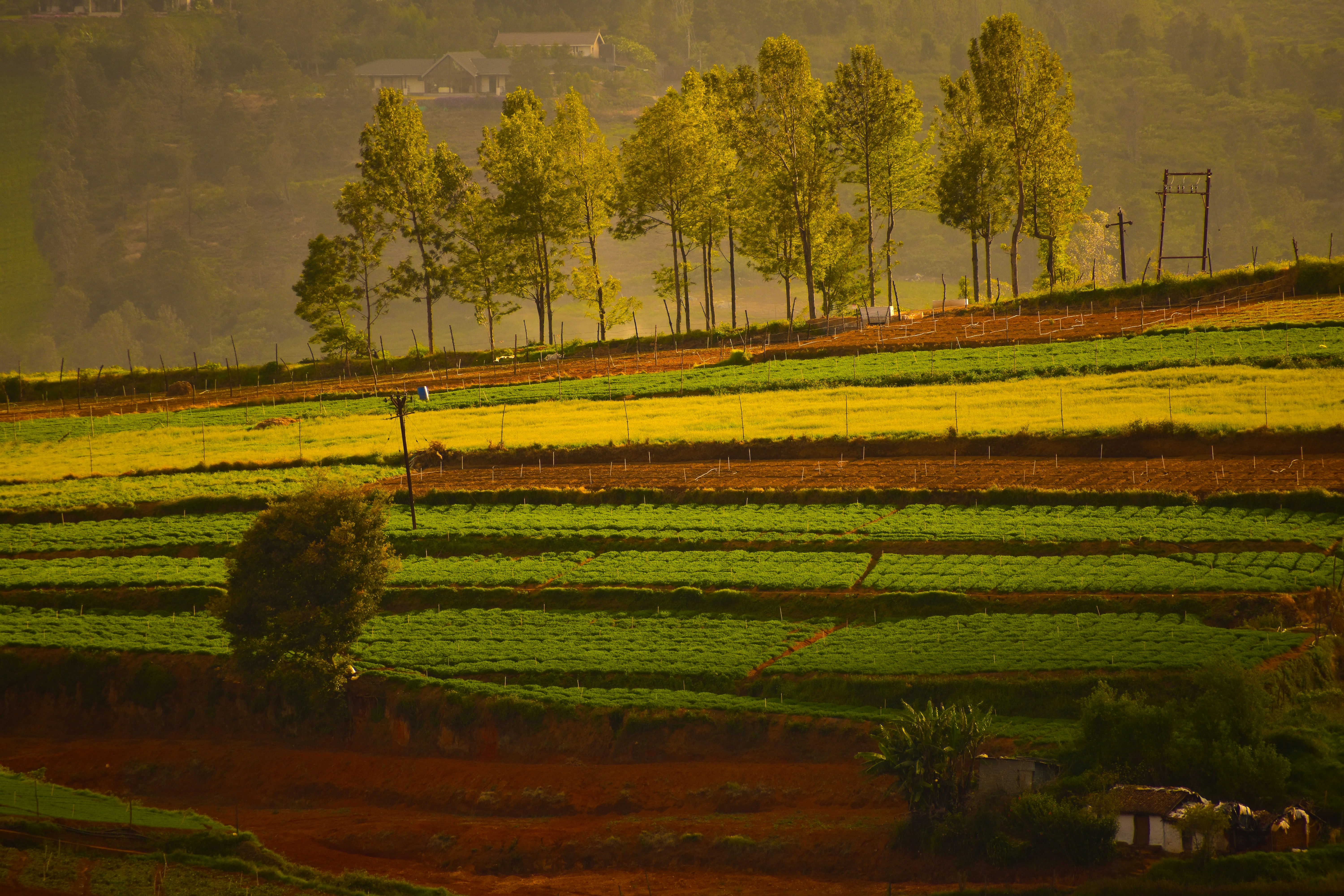 black and white bed linen