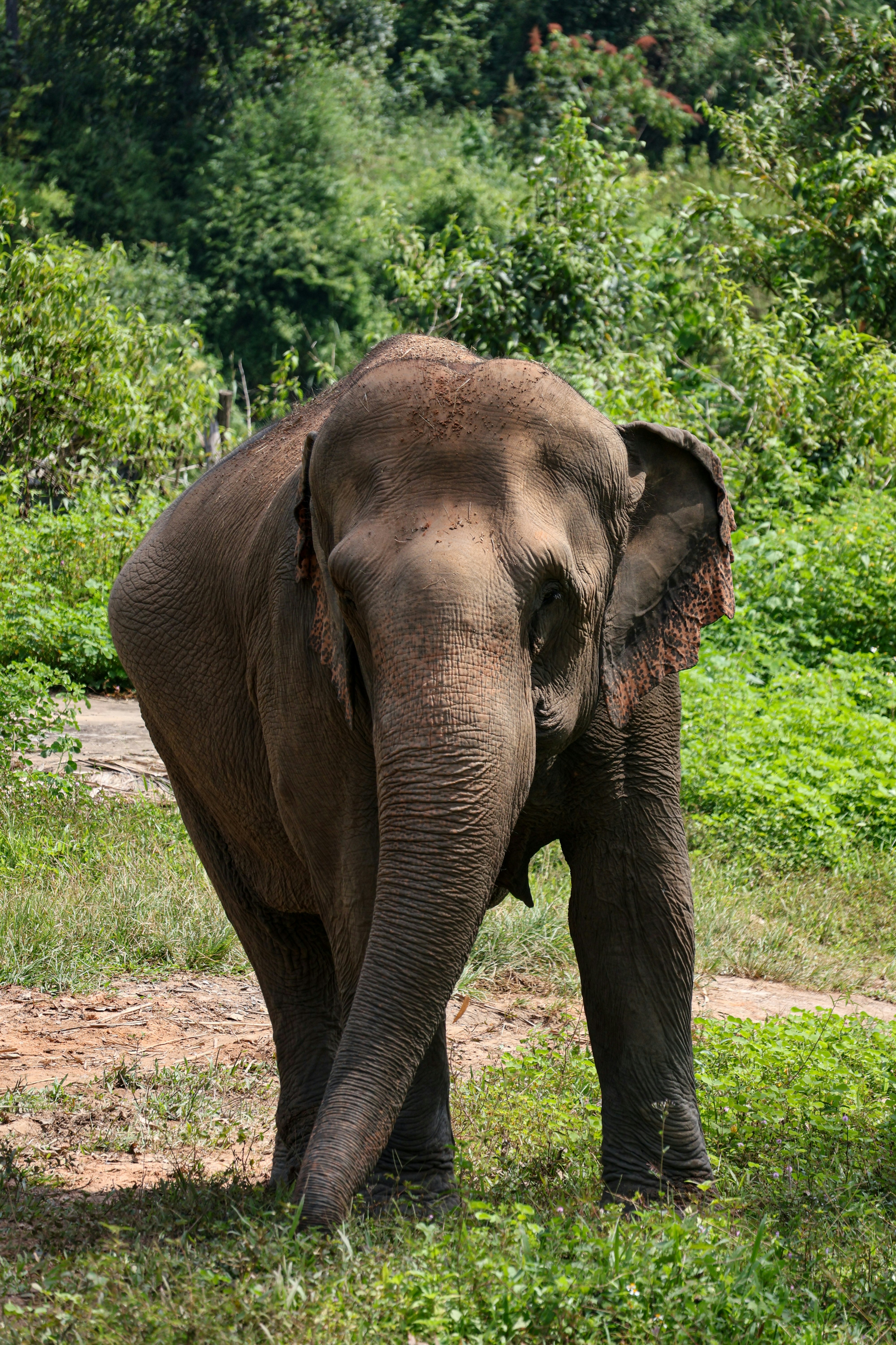 Photo by danielpelaezduque