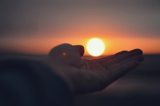 A person holding their hand out to the sun
