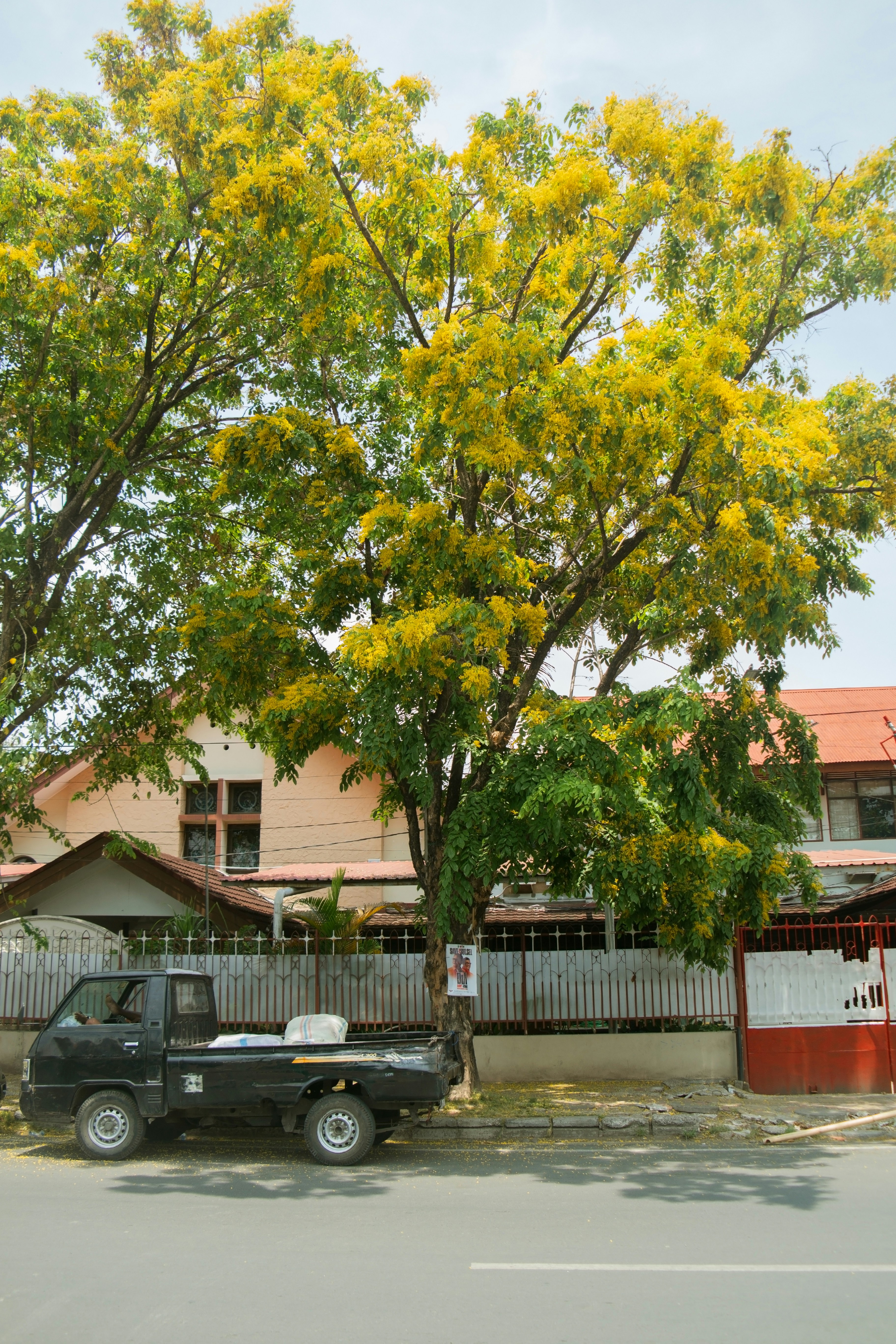 A truck is parked in front of a tree