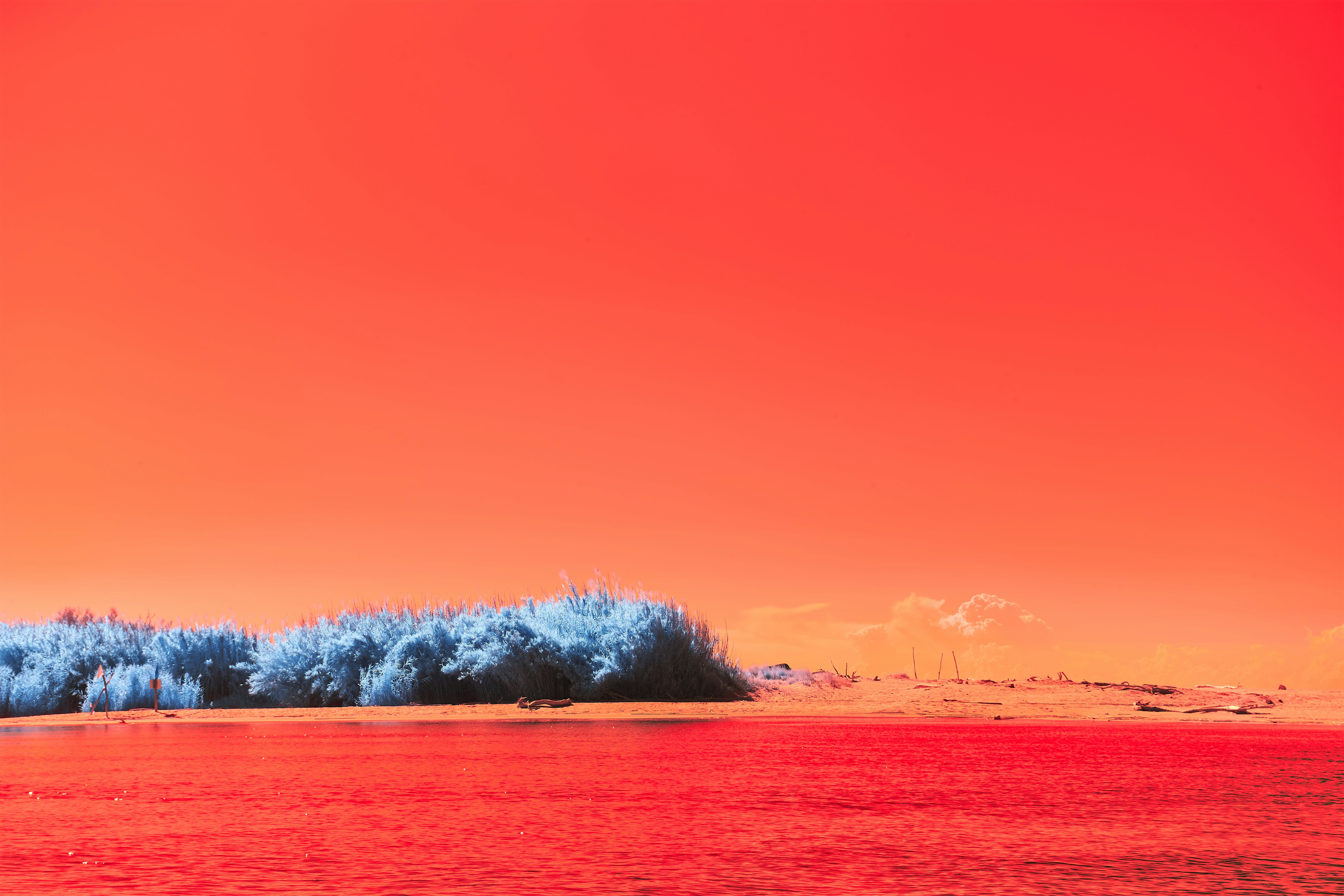 Photo by wolfgang_hasselmann