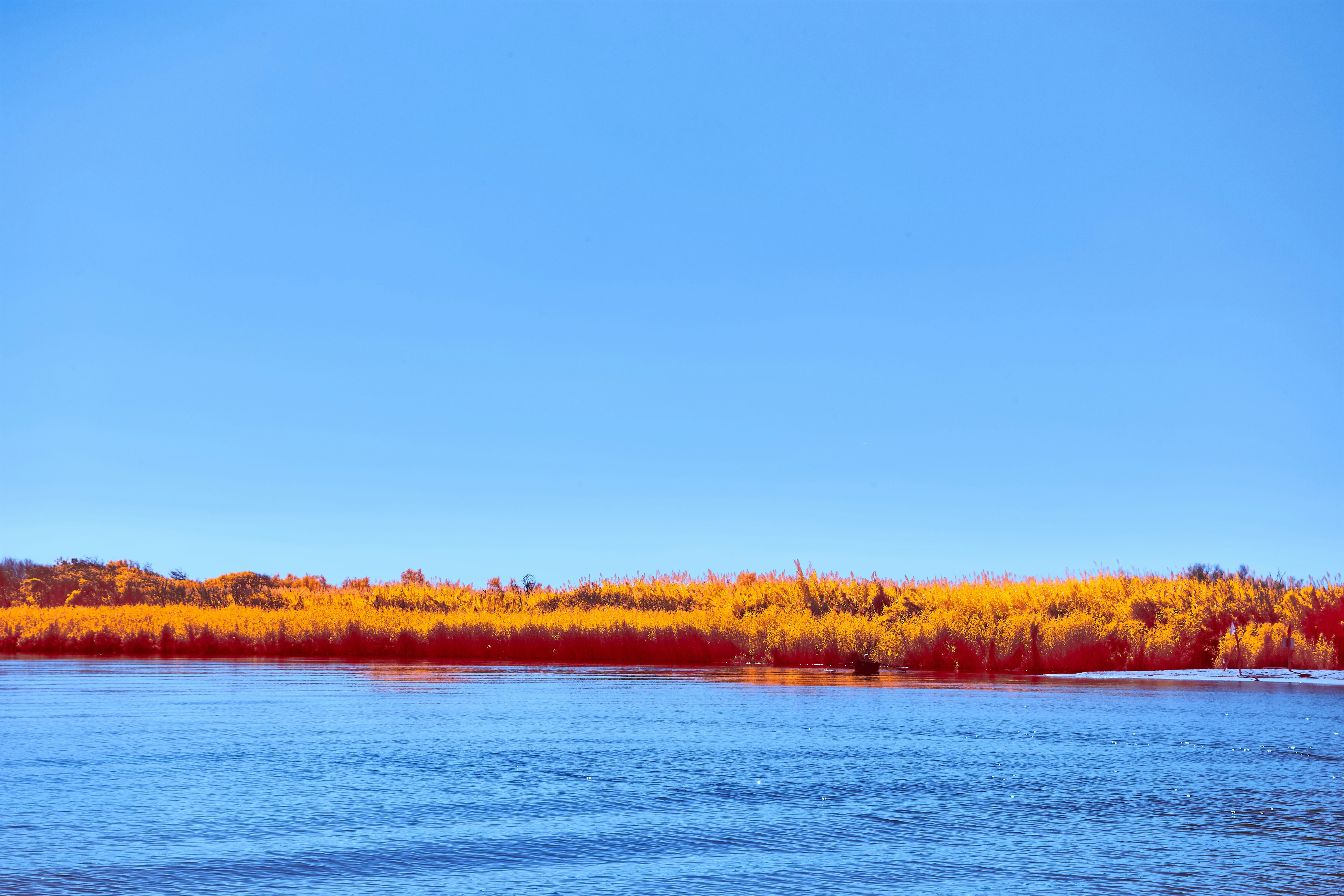 Photo by wolfgang_hasselmann