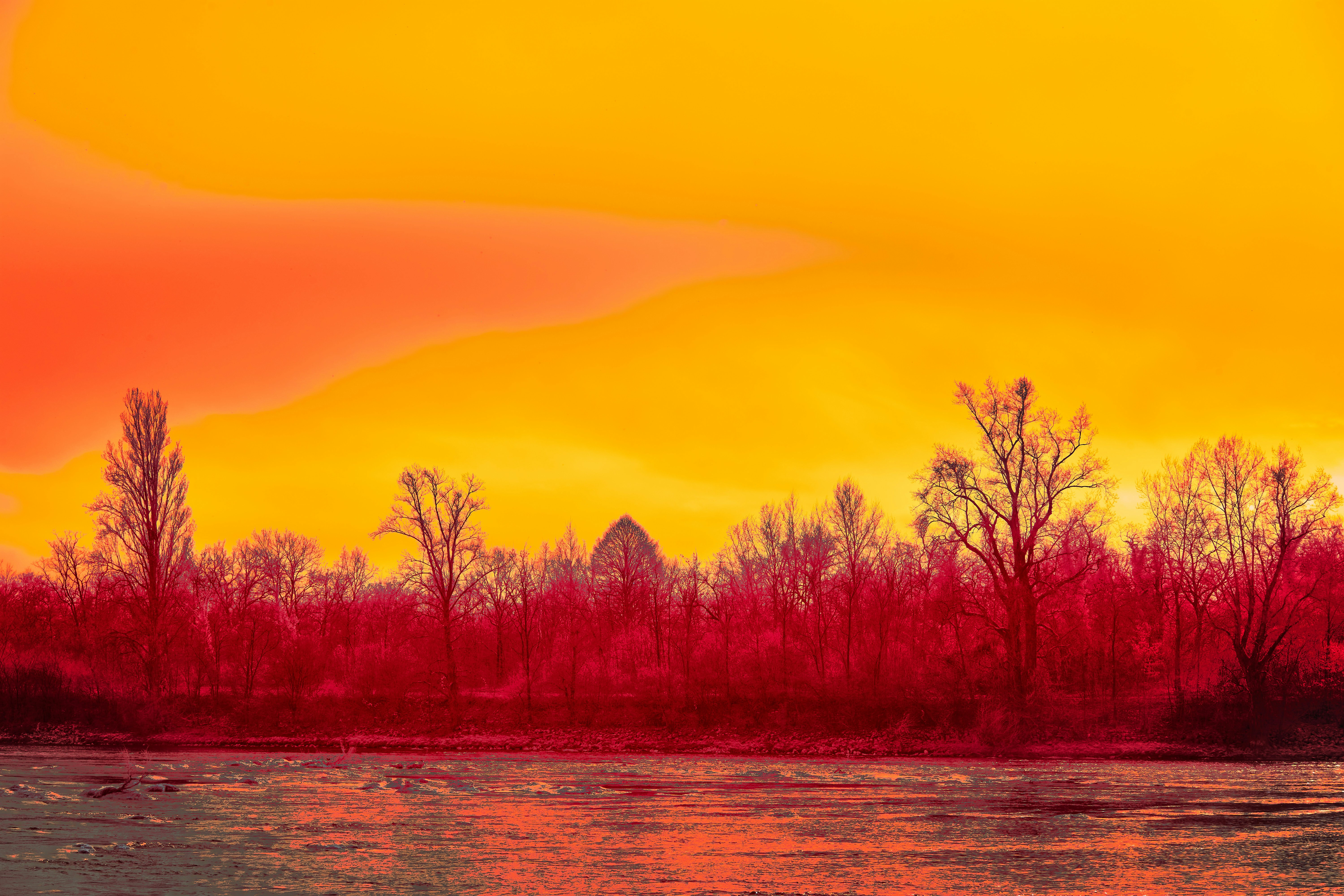 Photo by wolfgang_hasselmann