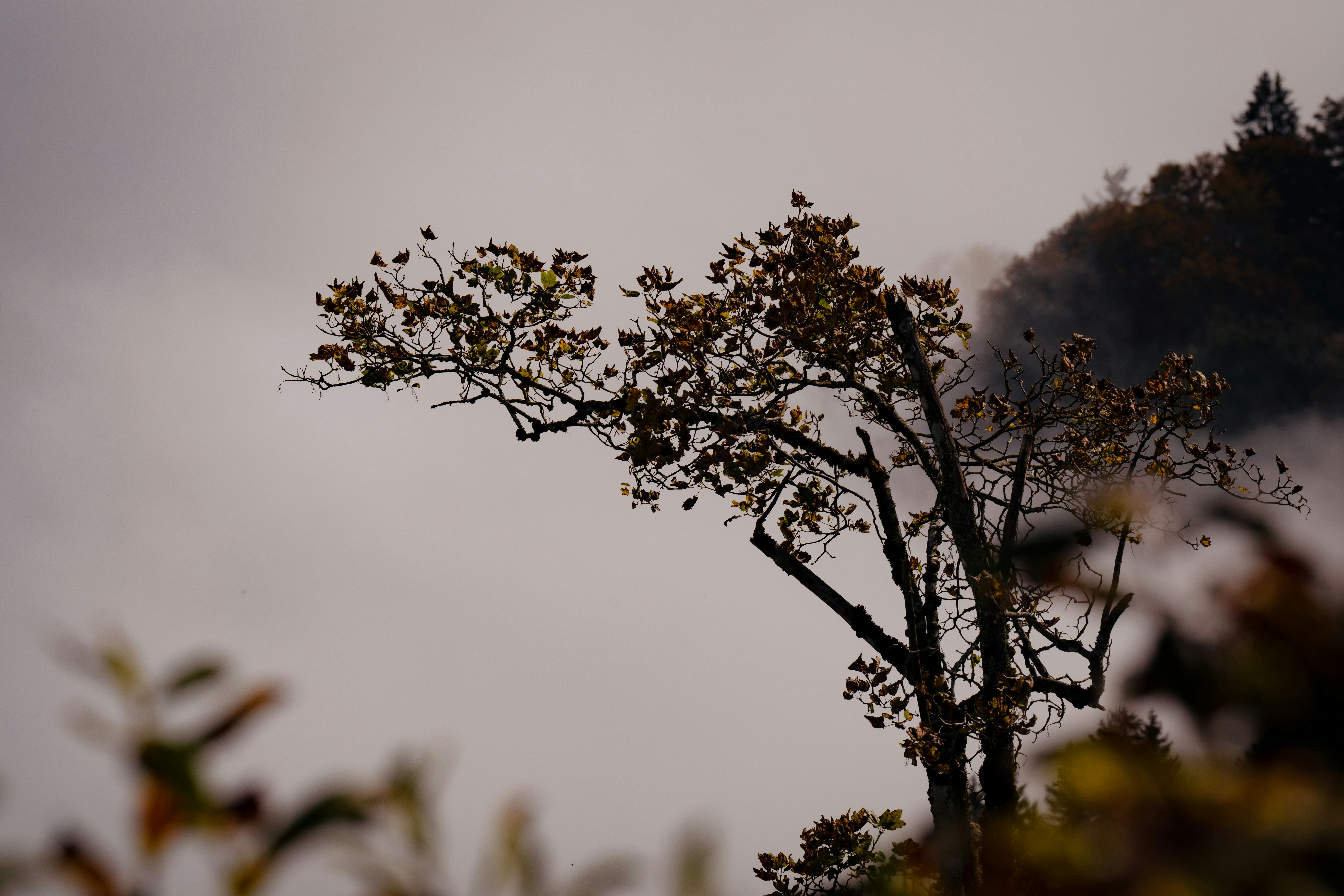 Photo by opohmelka