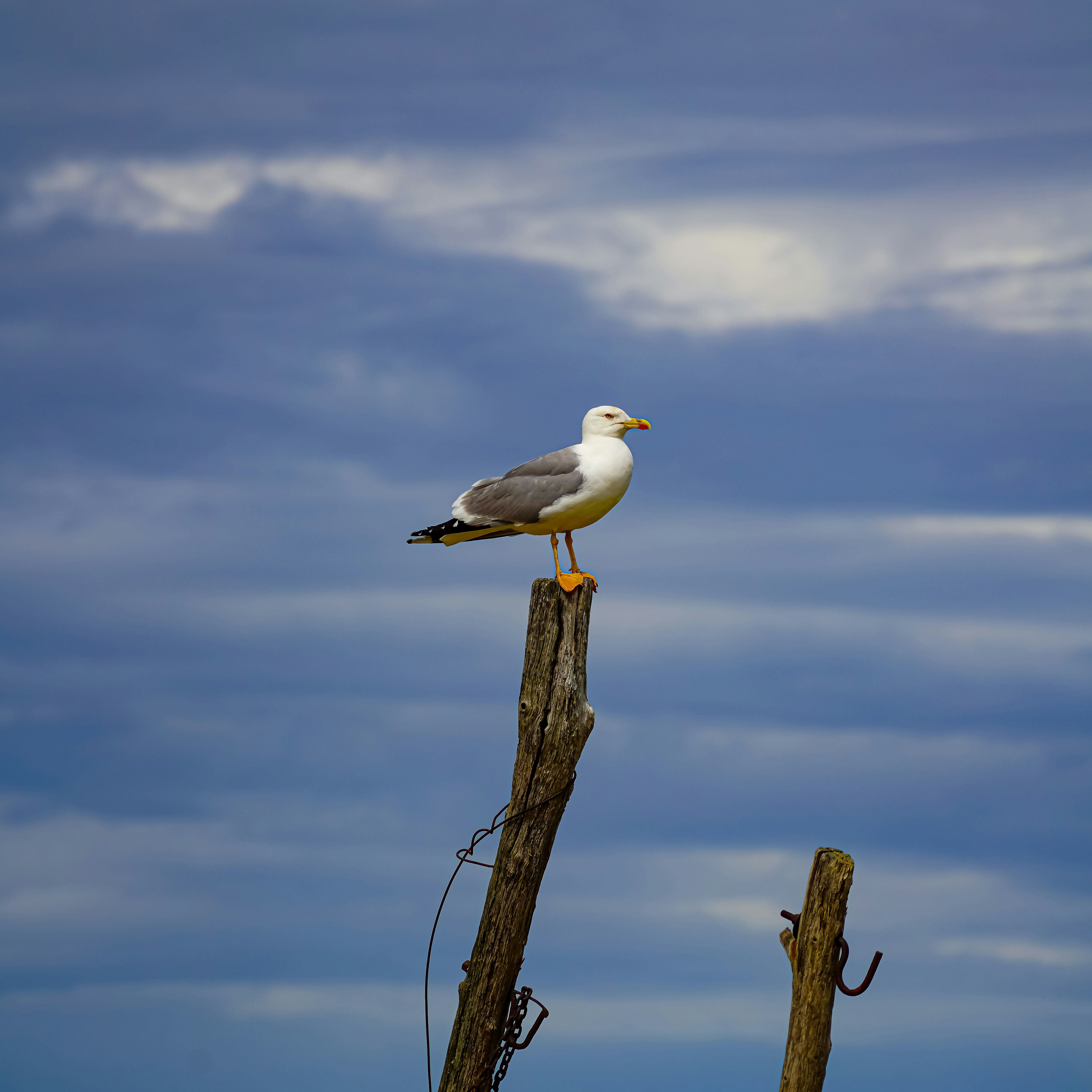 Photo by magictravel