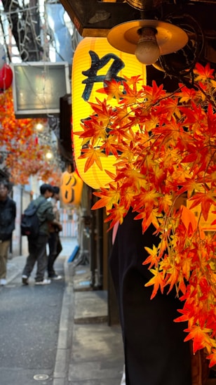 A person standing on a street with a bunch of leaves