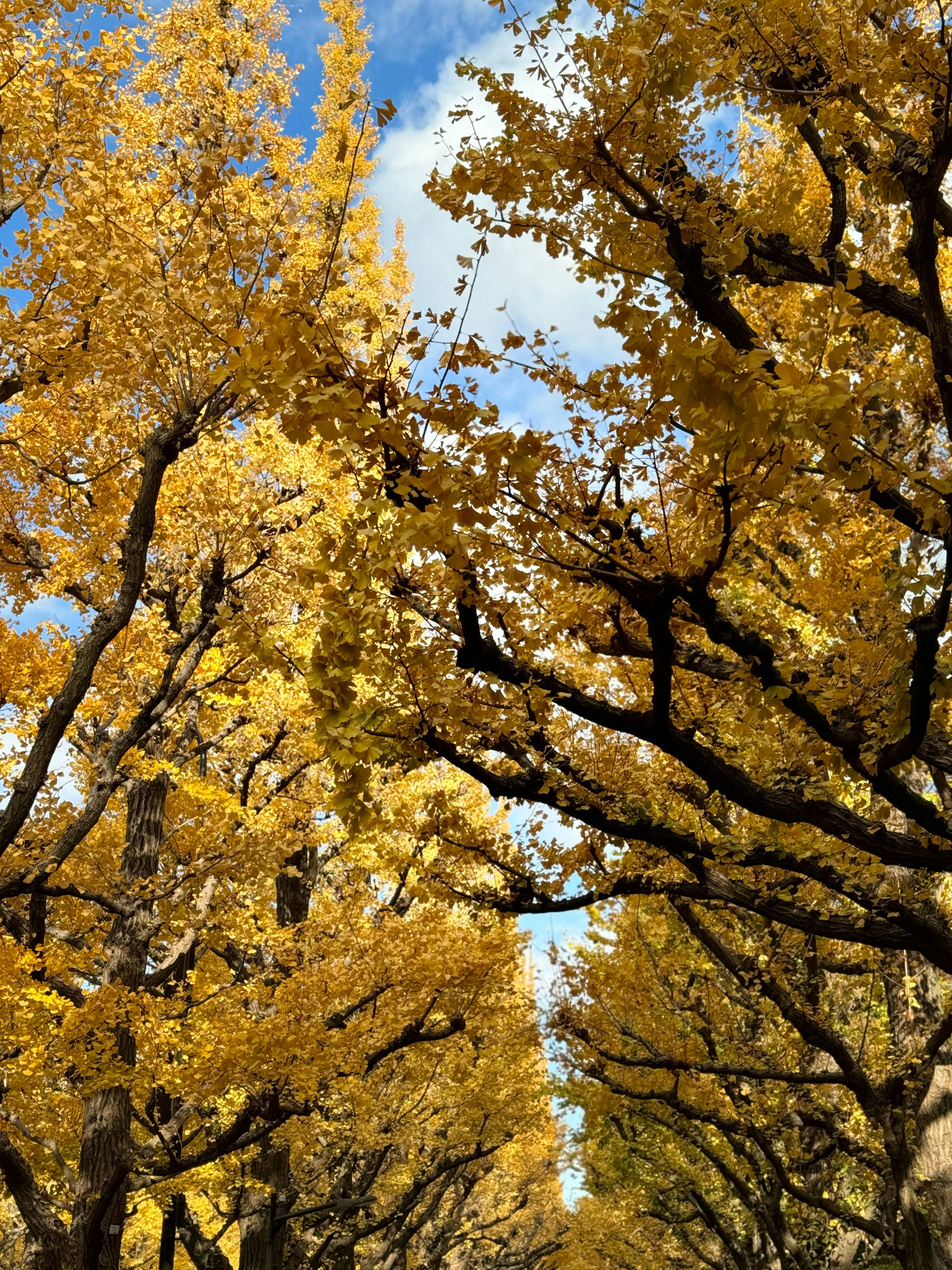 Photo by stachettilindsay