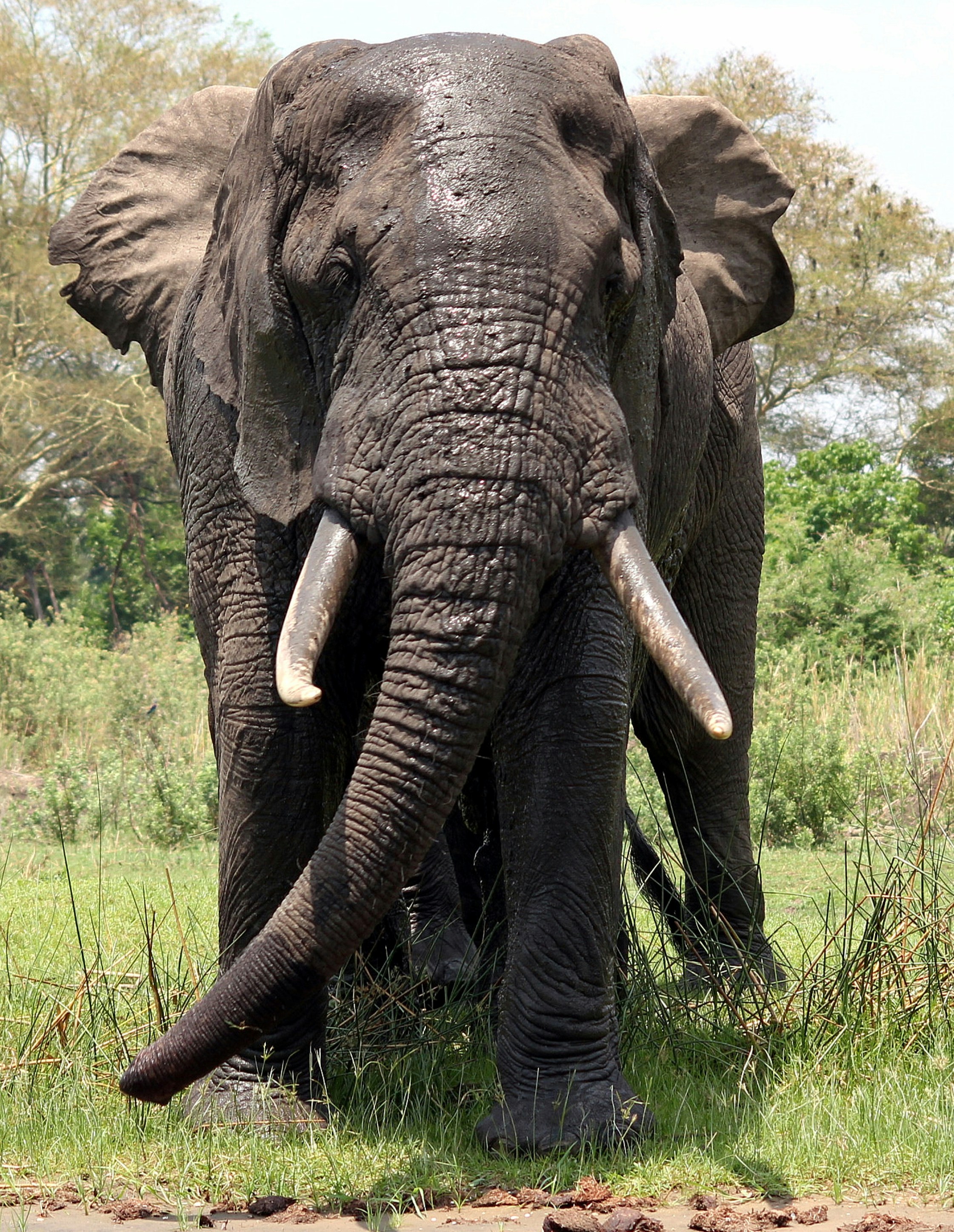 Photo by craigmanners_com