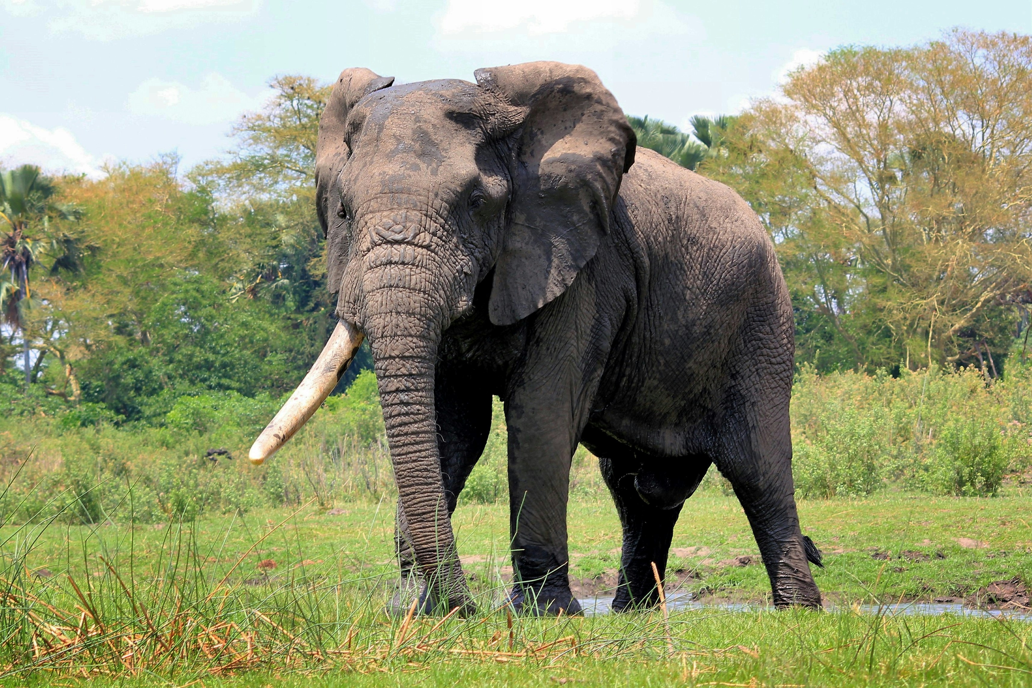 Photo by craigmanners_com