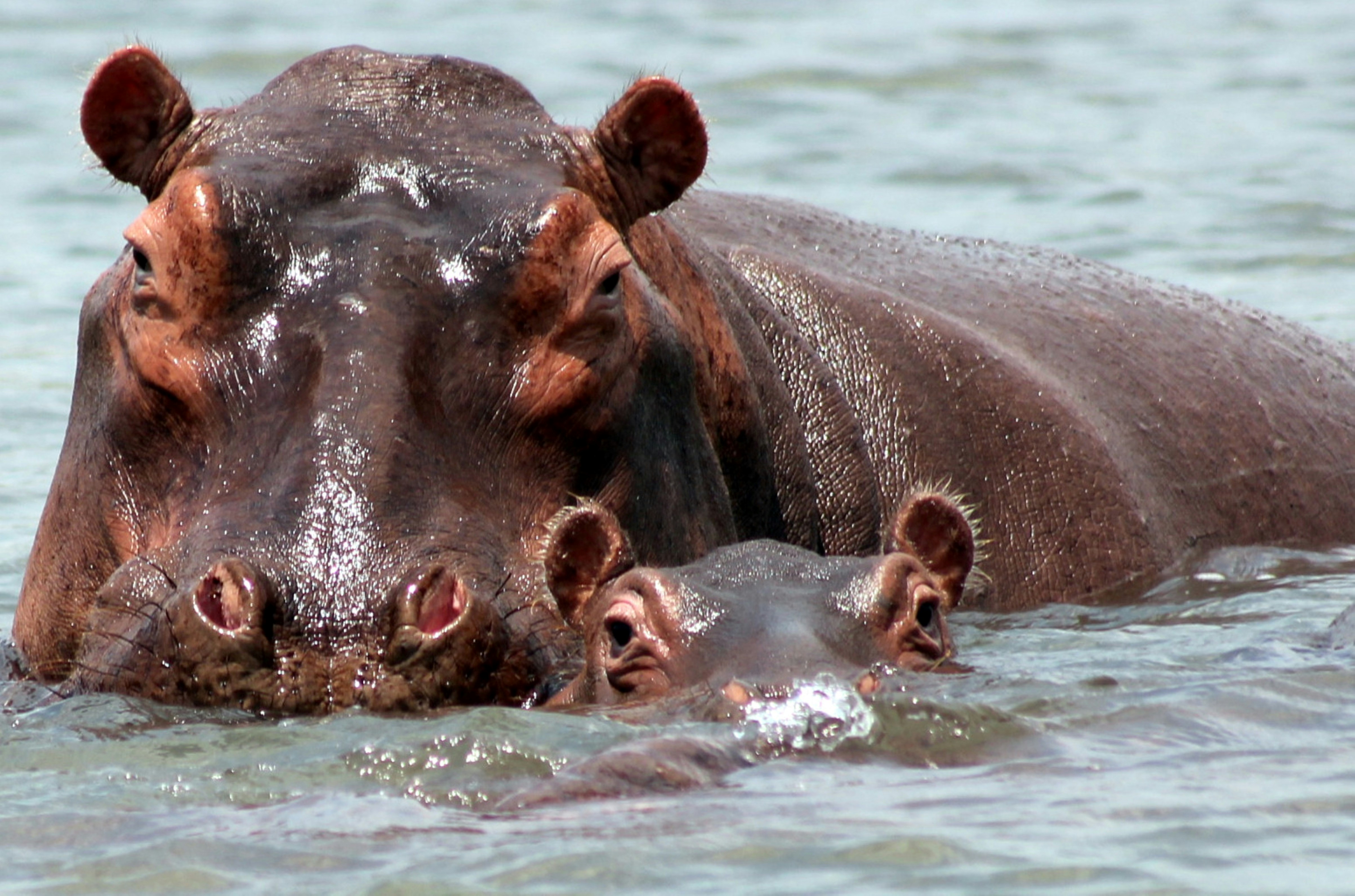 Photo by craigmanners_com