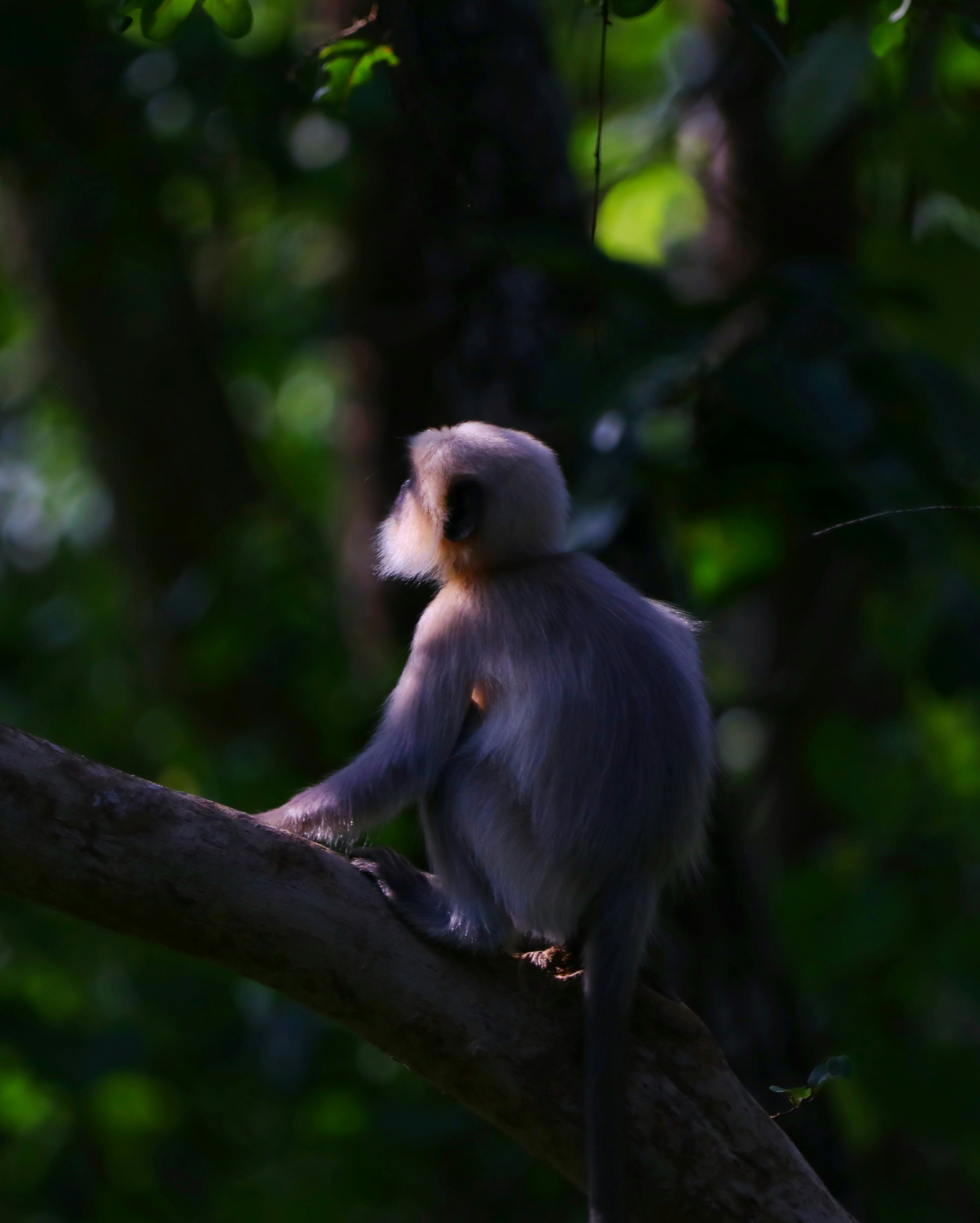 Photo by saiteja_varma