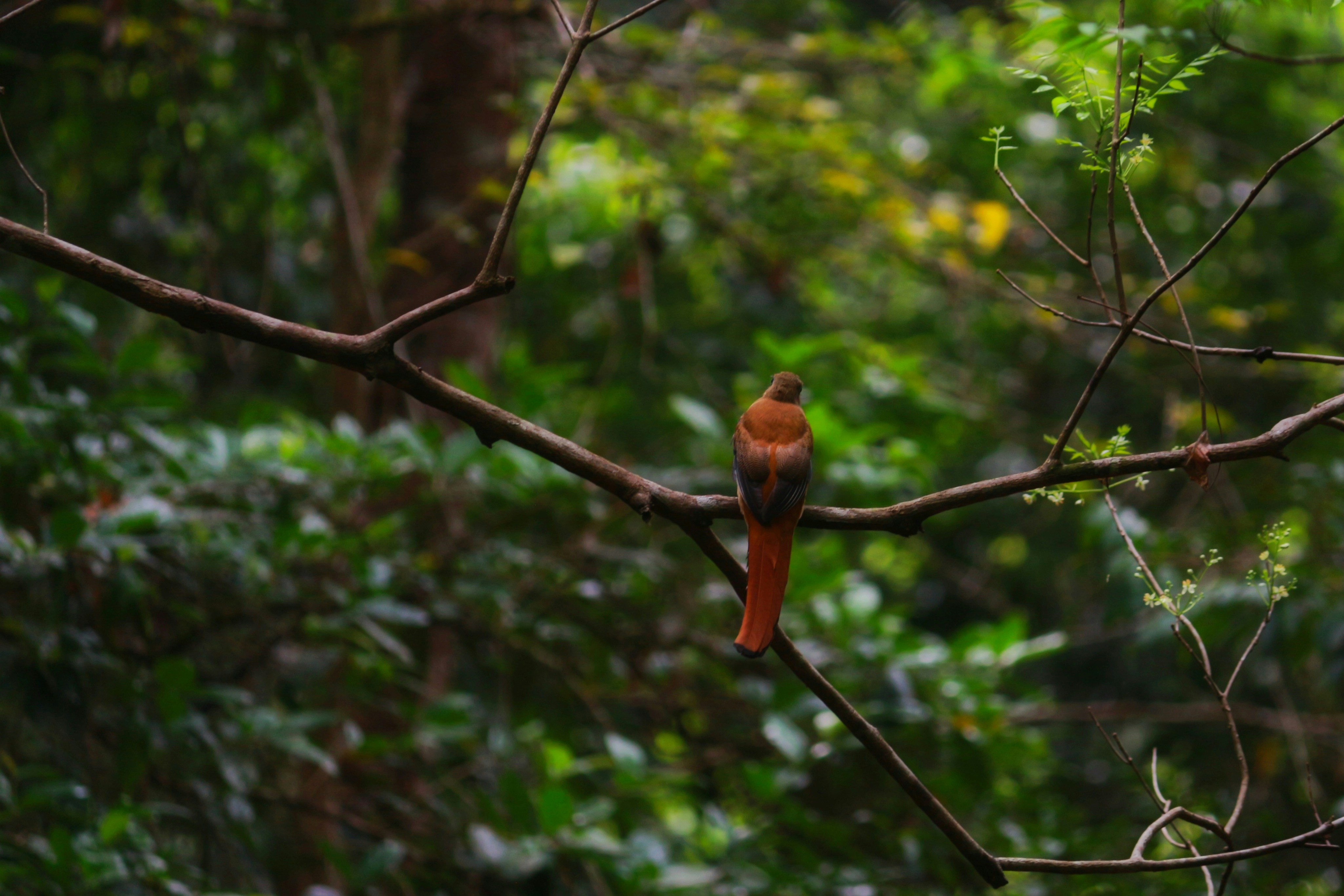 Photo by saiteja_varma