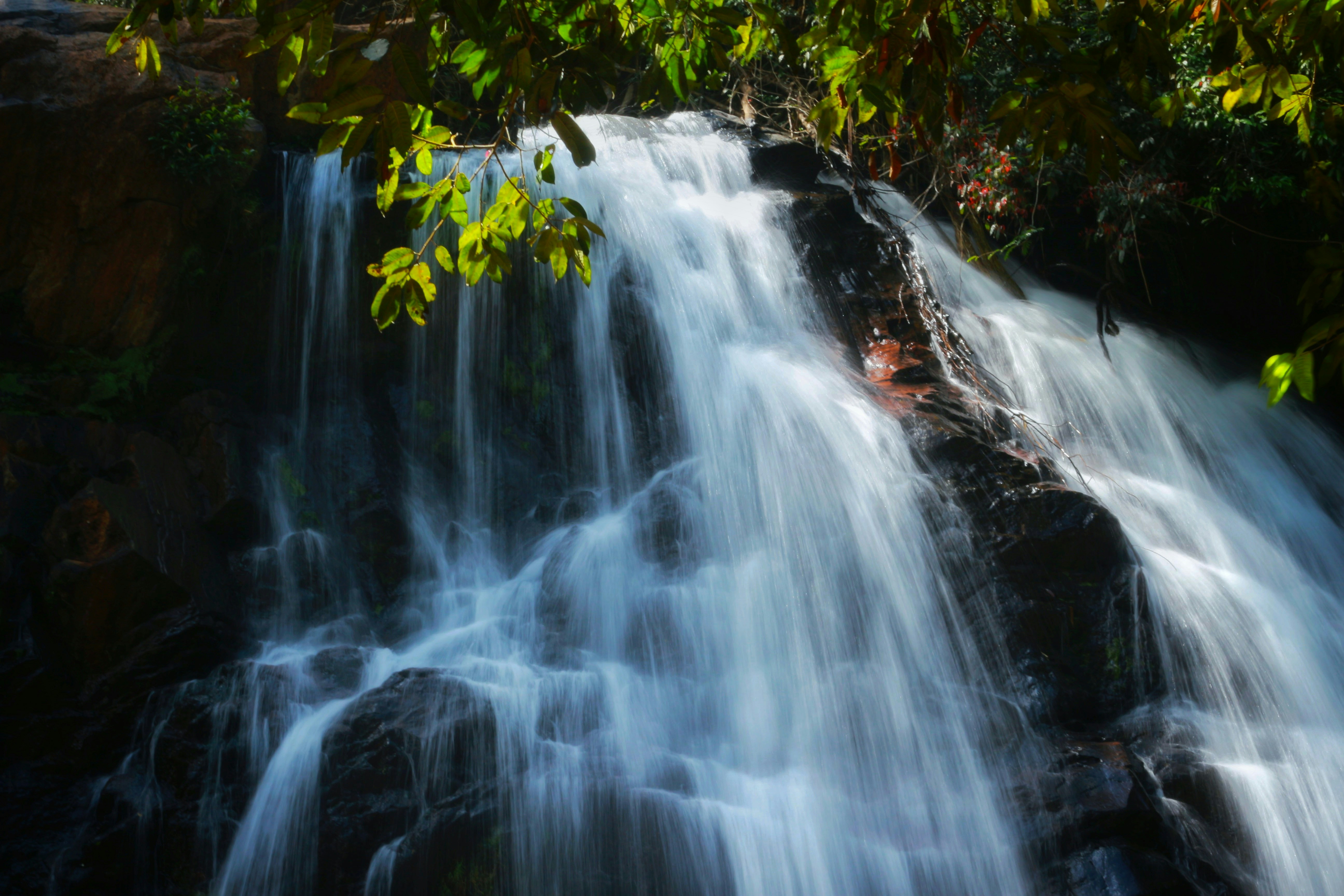 Photo by saiteja_varma