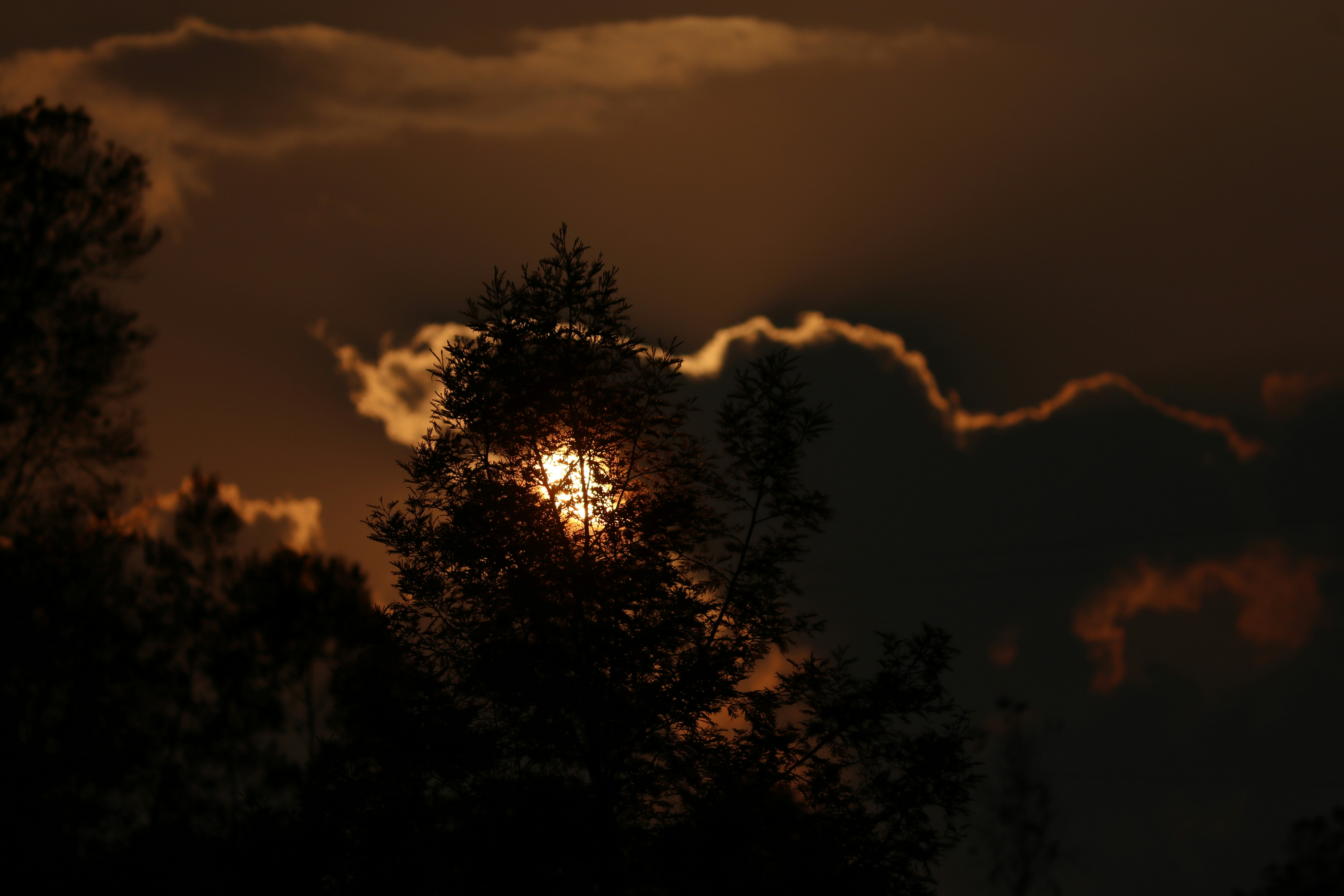 Photo by saiteja_varma