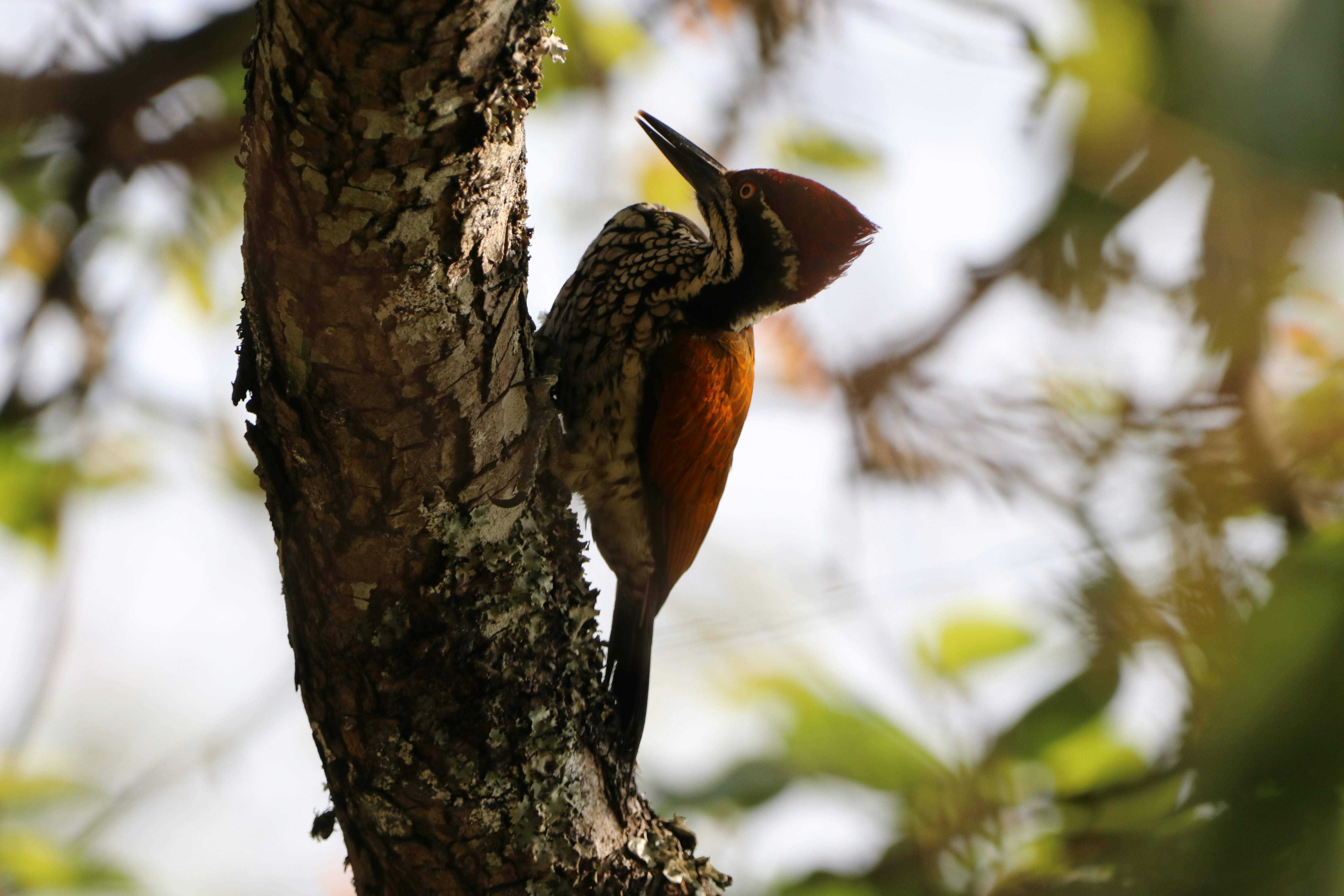 Photo by saiteja_varma