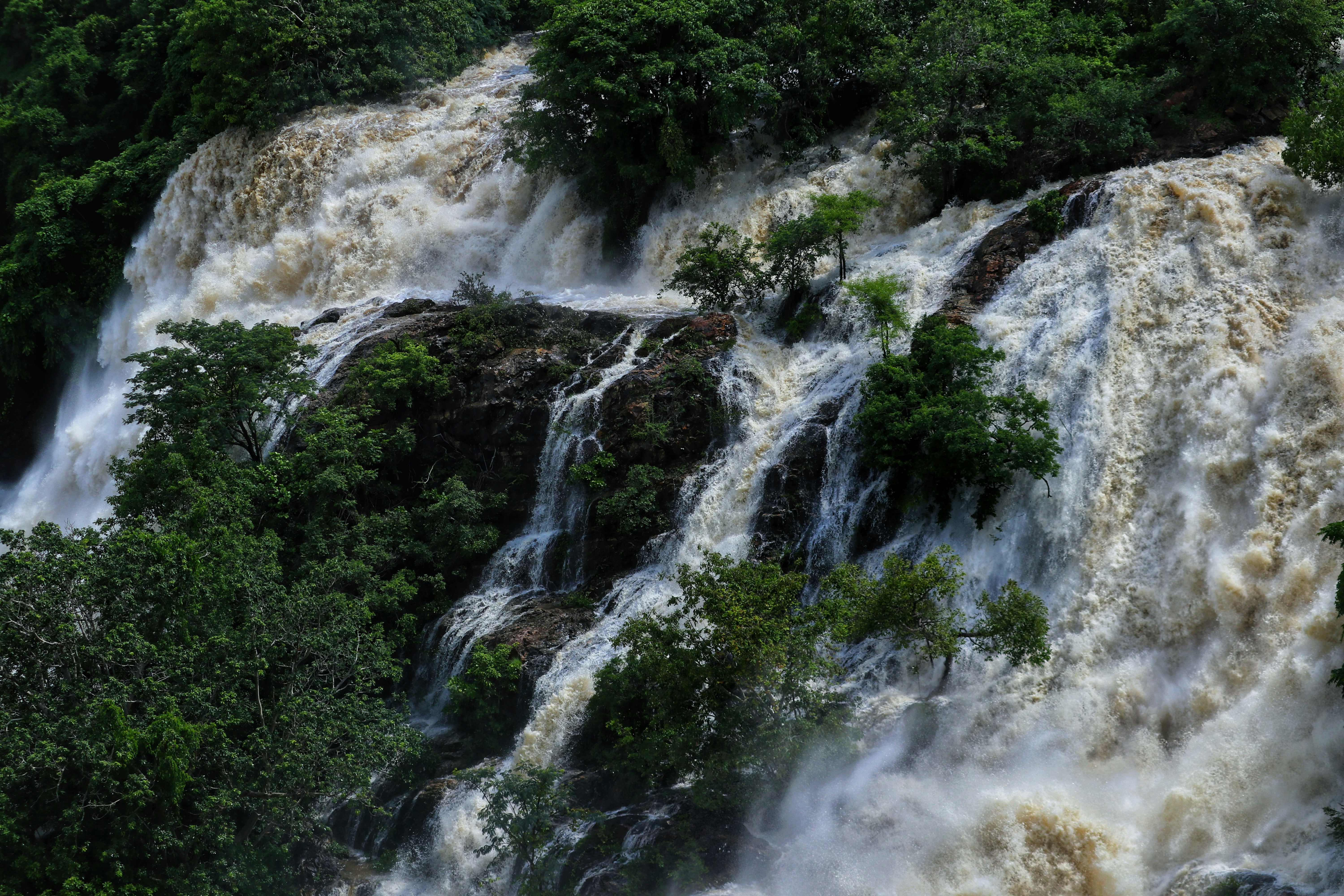 Photo by saiteja_varma