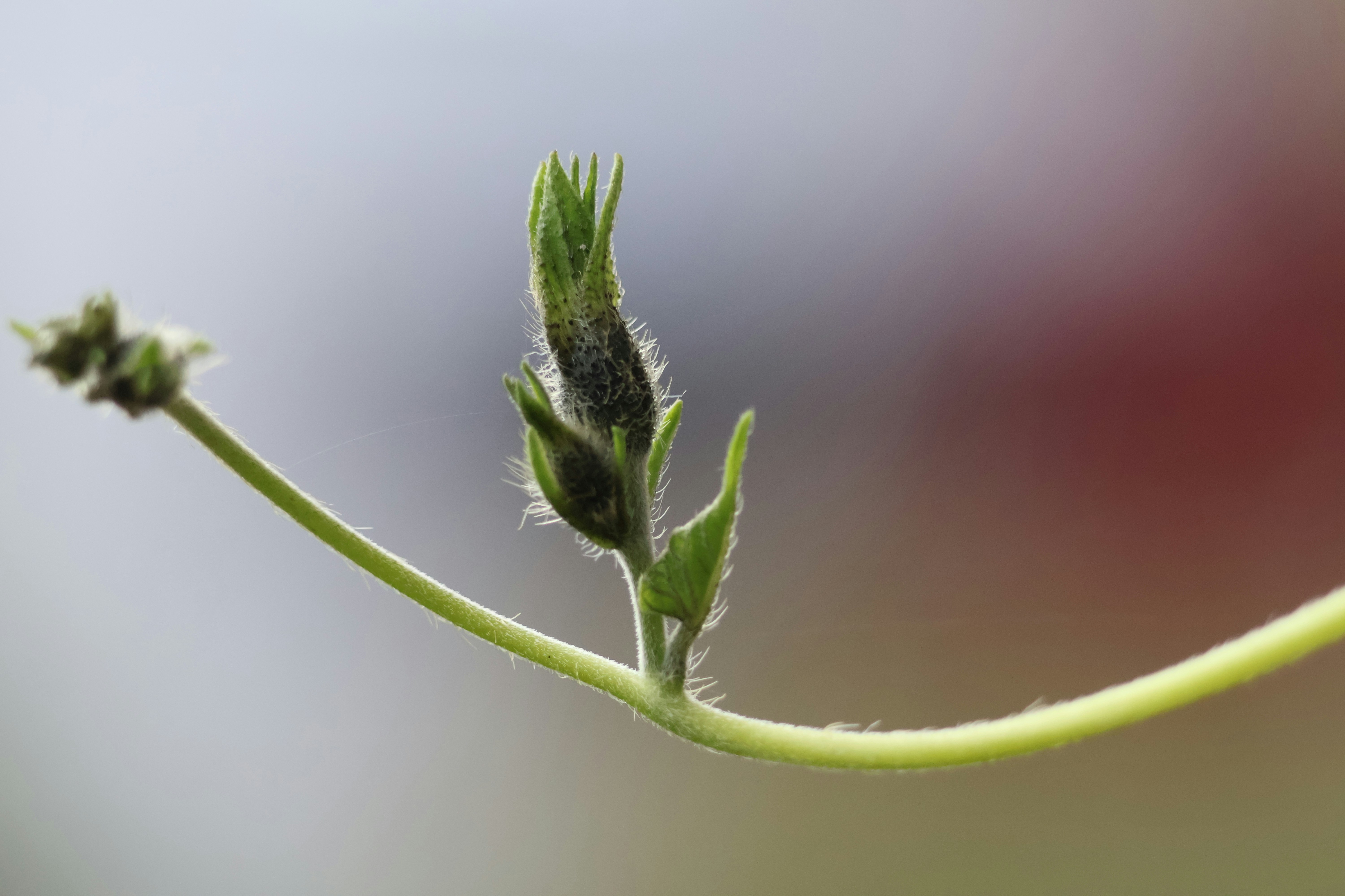 Photo by shooter__andy